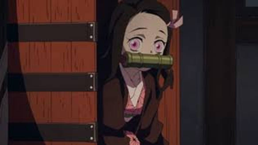 Demon Slayer Nezuko Ny Kurv Bakgrunner