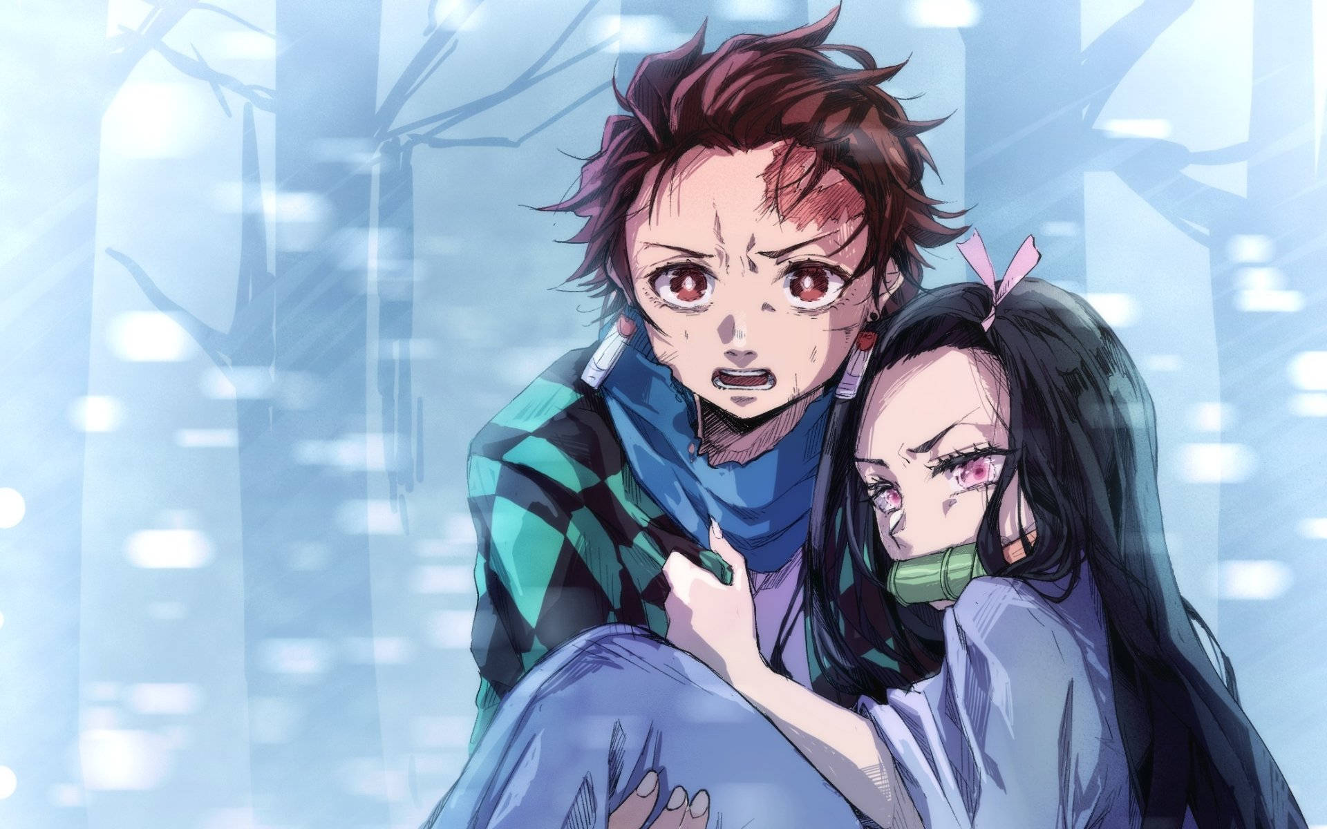 Demon Slayer Tanjiro bærer Bakgrunner