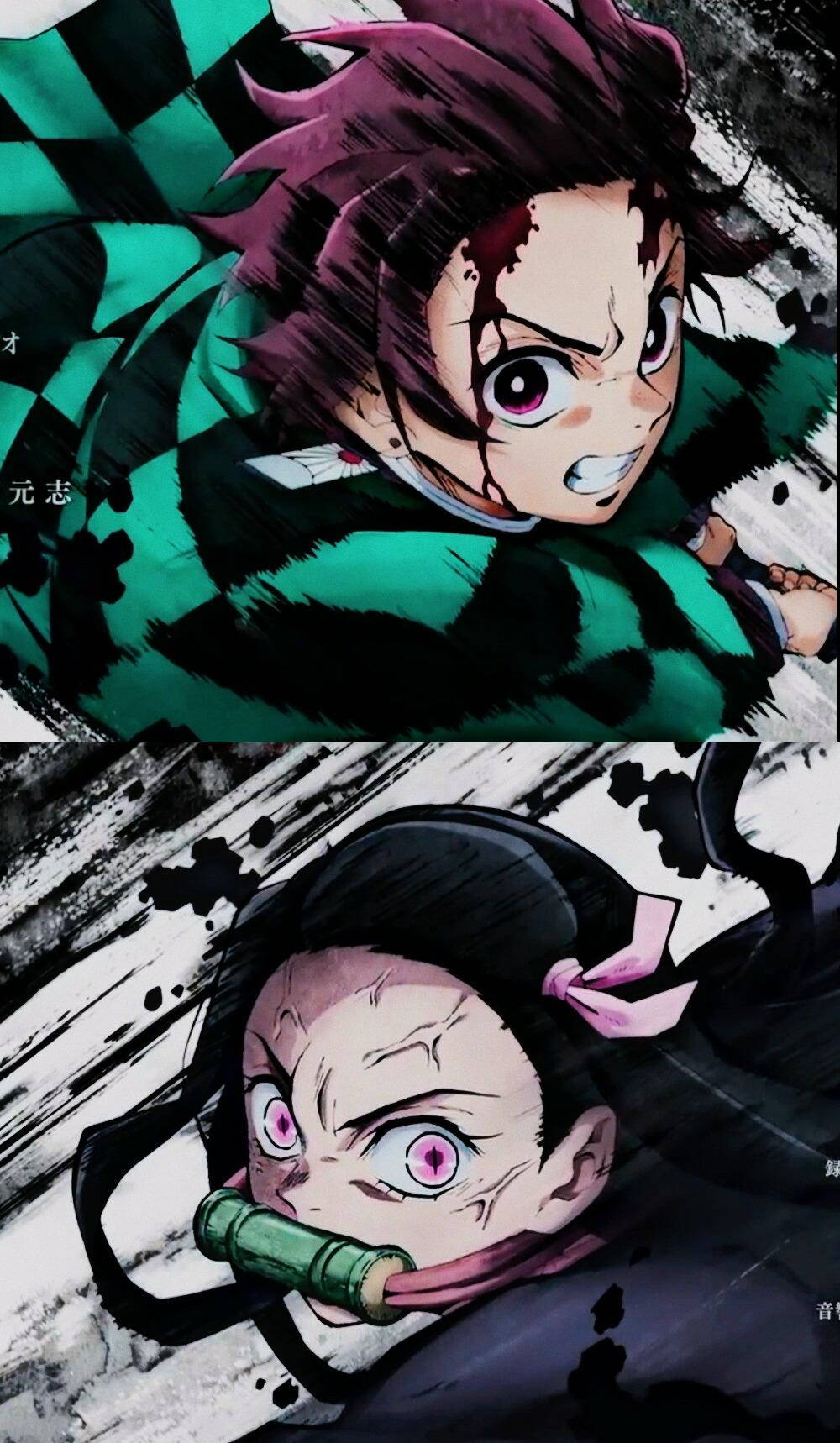 Demon Slayer Tanjiro Nezuko i kamp Bakgrunner