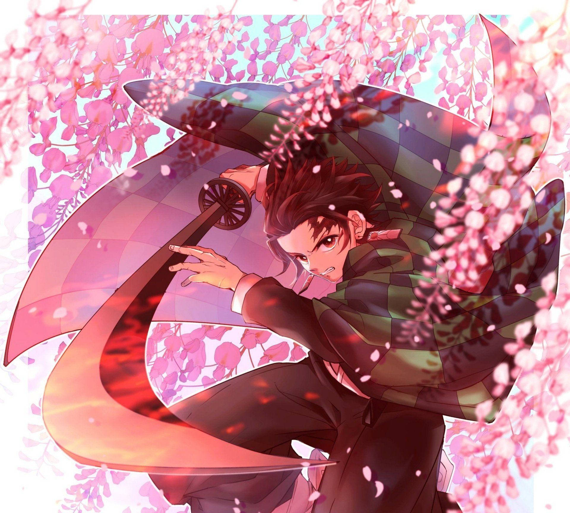 Demon Slayer Tanjiro rosa blomster Bakgrunner