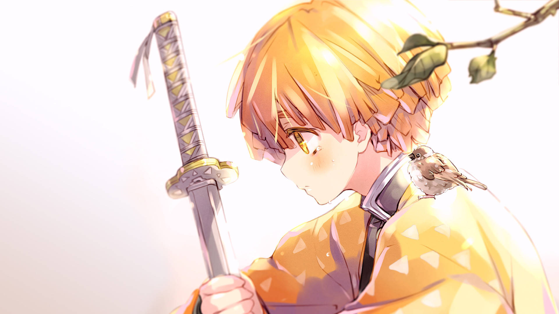 Demon Slayer Zenitsu i sollys Bakgrunner