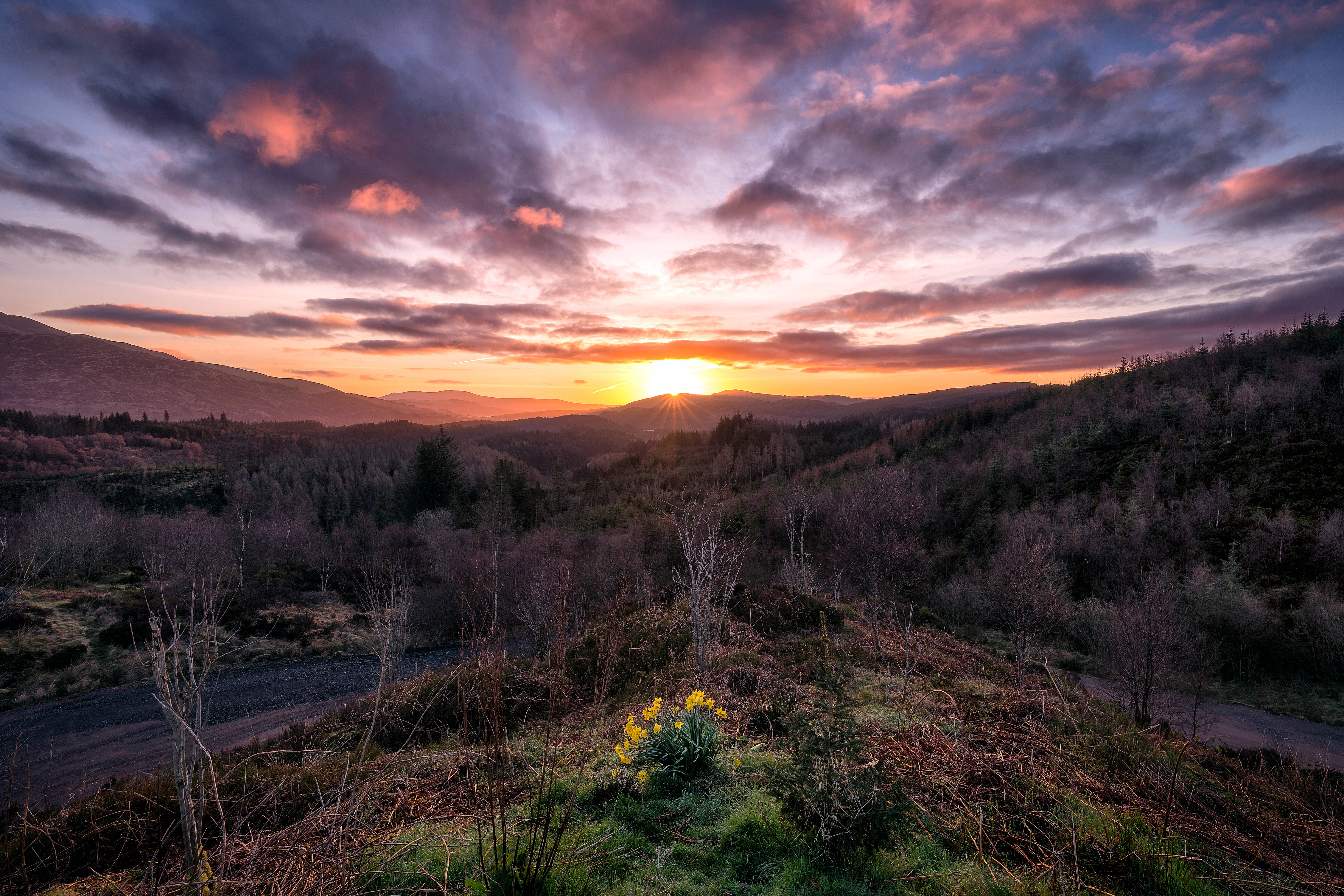 Den fortryllende soloppgangen i Trossachs Park i Skottland Bakgrunner