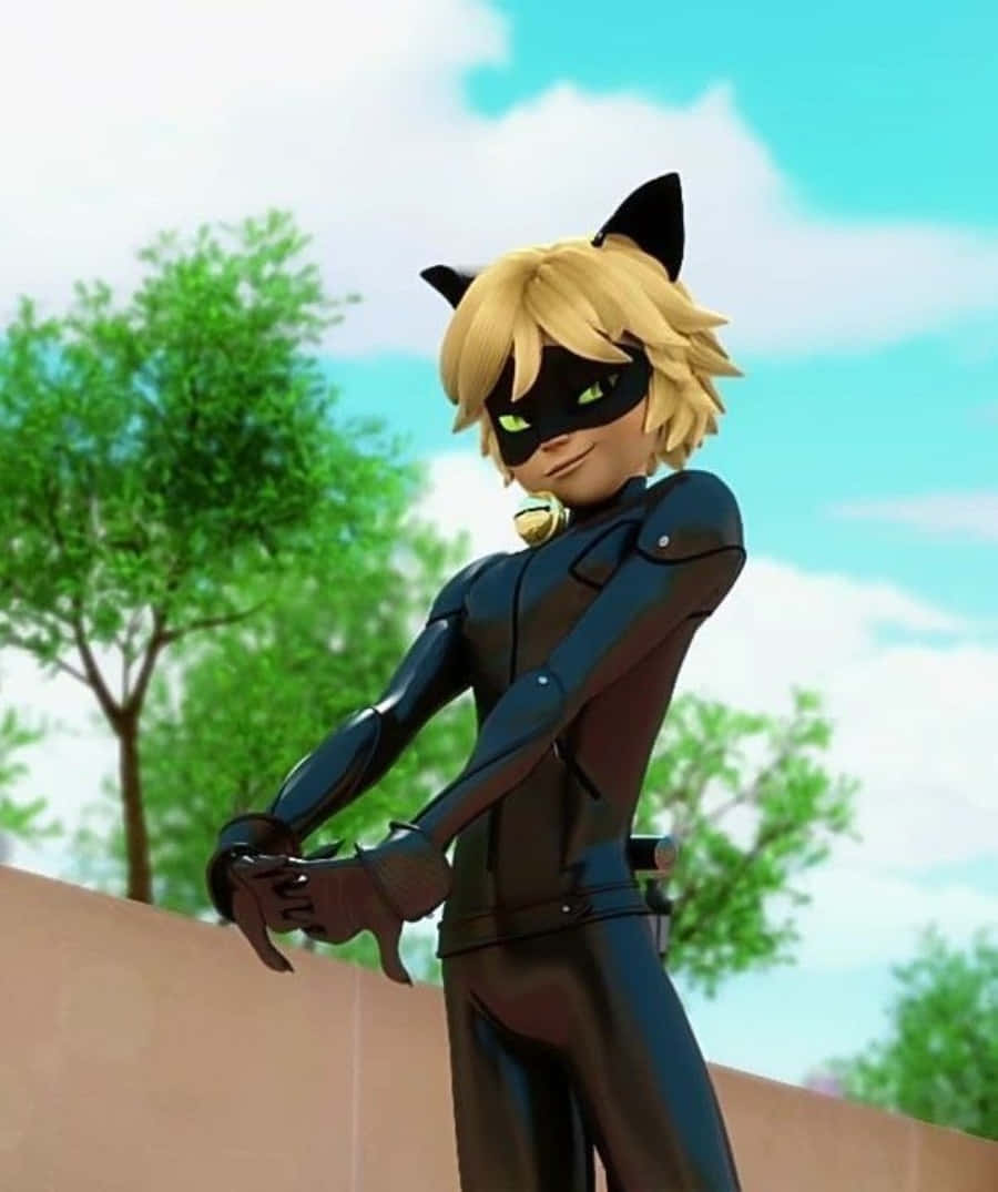 Den kuleste katten i byen - Cat Noir Bakgrunner