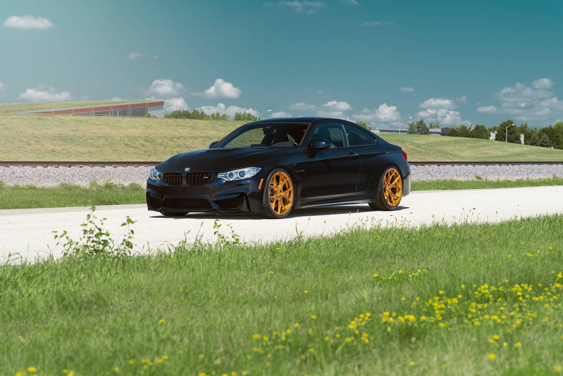 Svart BMW M4 F82-bil på vei med gress bakgrunnsbilde