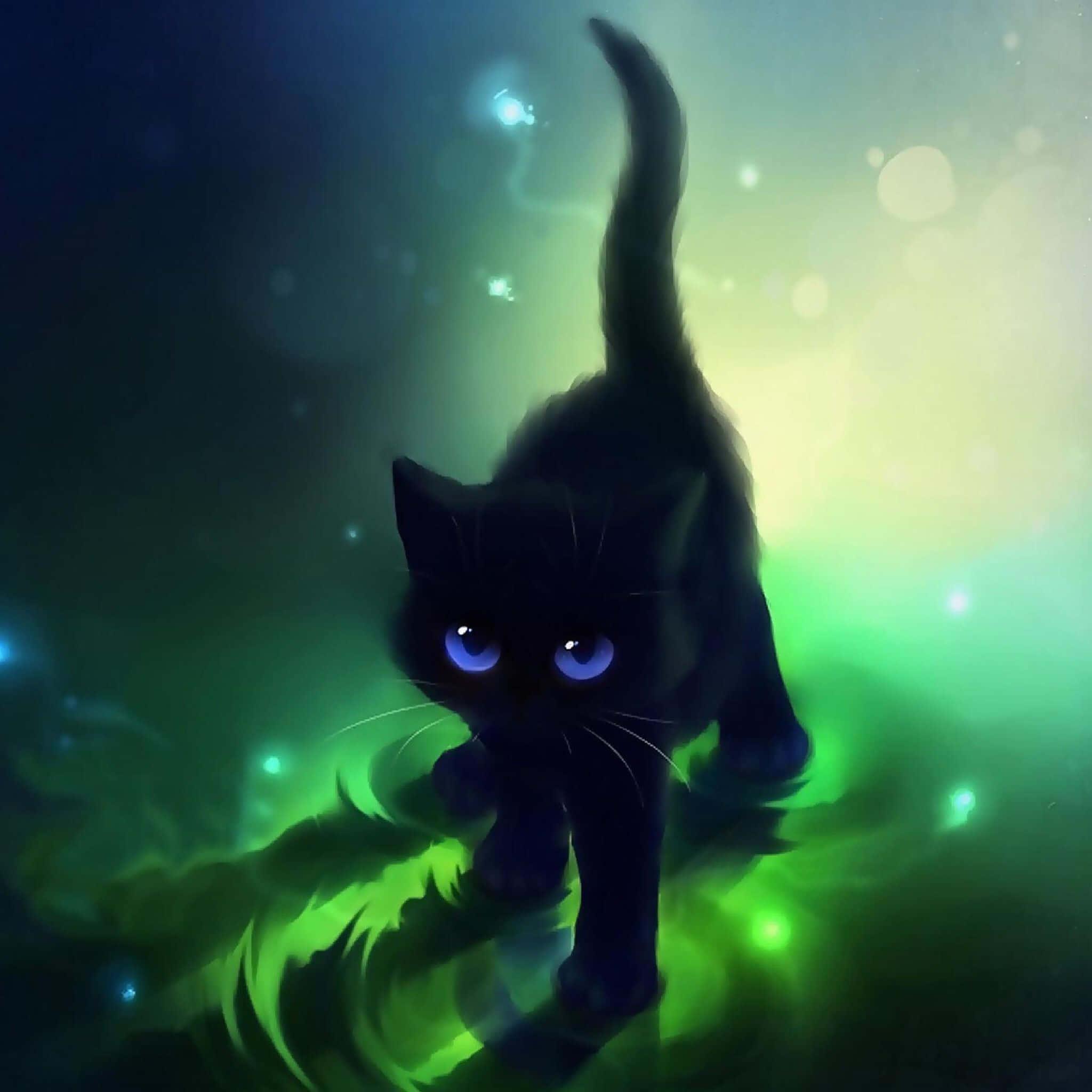 Denne nydelige svarte katten vil stjele hjertet ditt Bakgrunner
