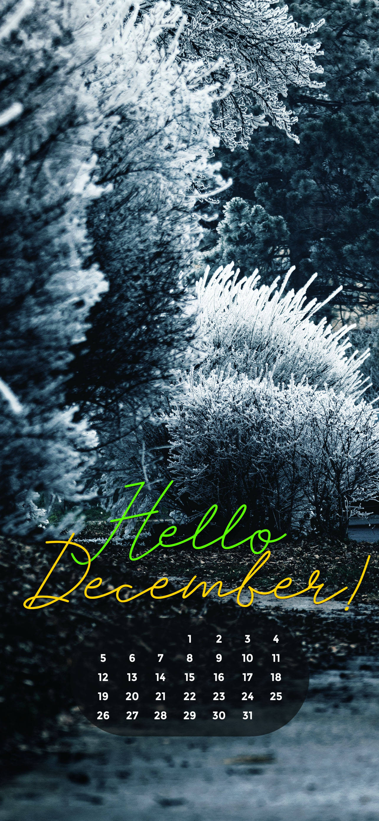 Desember 2021 Hvit jul Bakgrunner