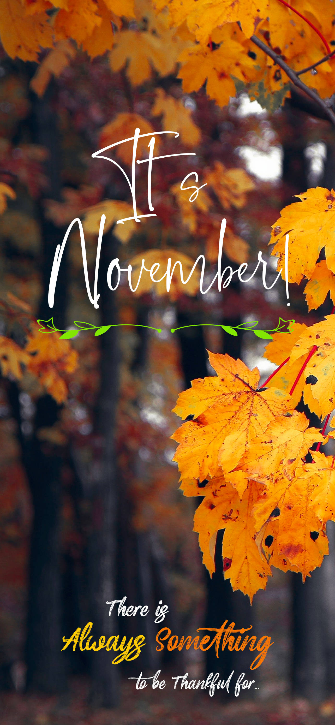 Det Er November Høsttrær Sitat Bakgrunner
