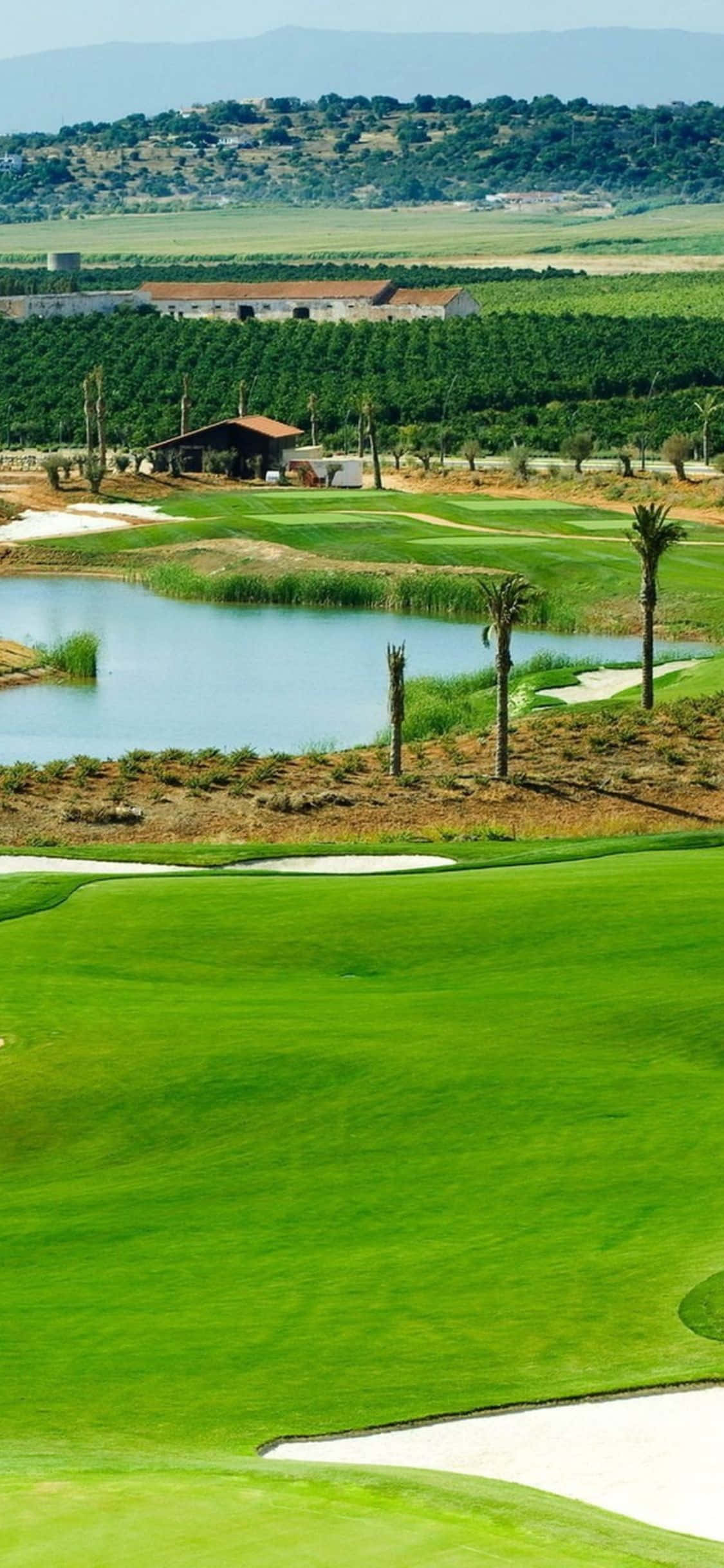 Det er tee-tid! Nyt golfspillet ditt på de frodige fairwayene på golfbanen med iPhone X Bakgrunner