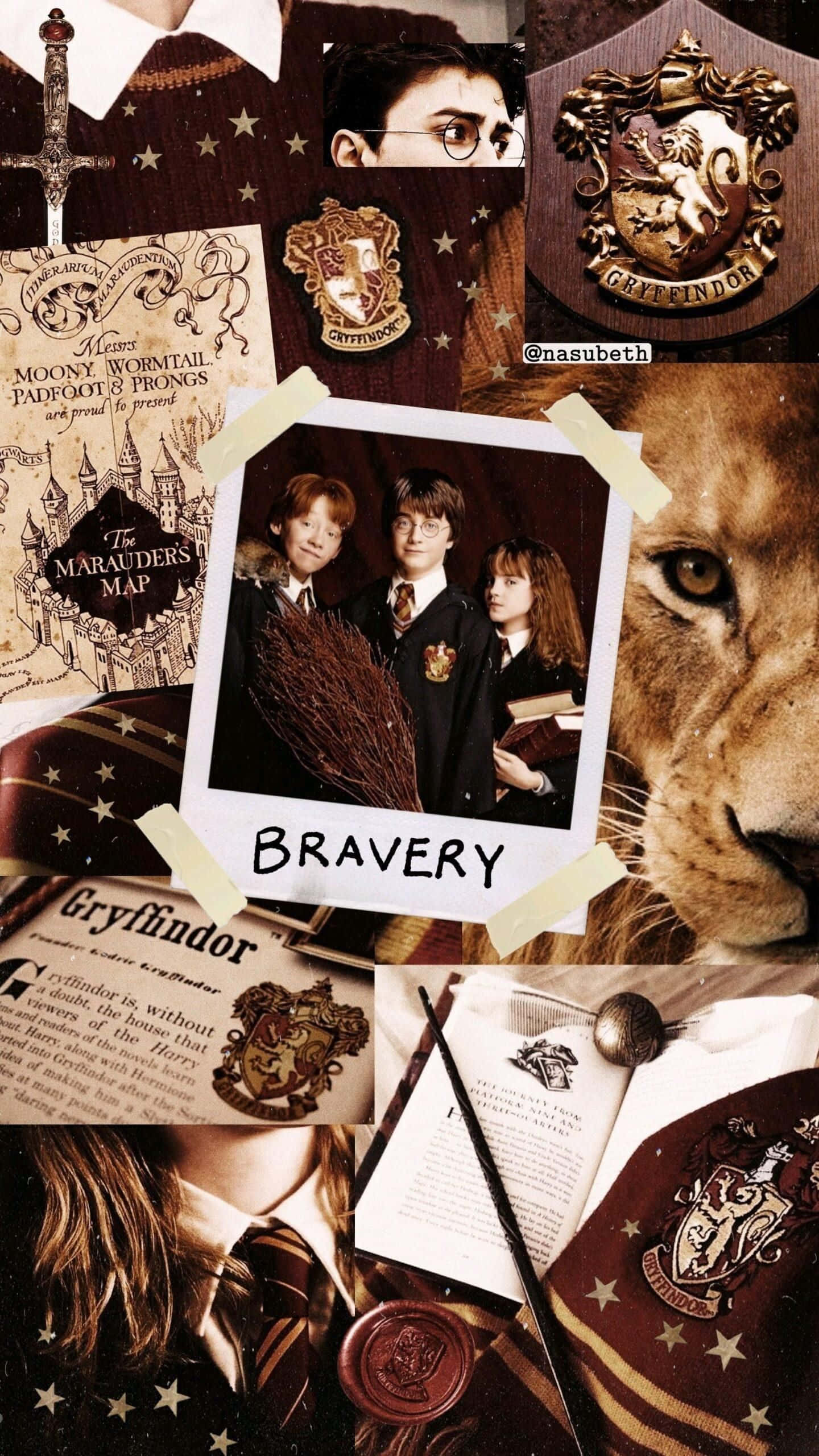 Det estetiske Harry Potter-universet Bakgrunner