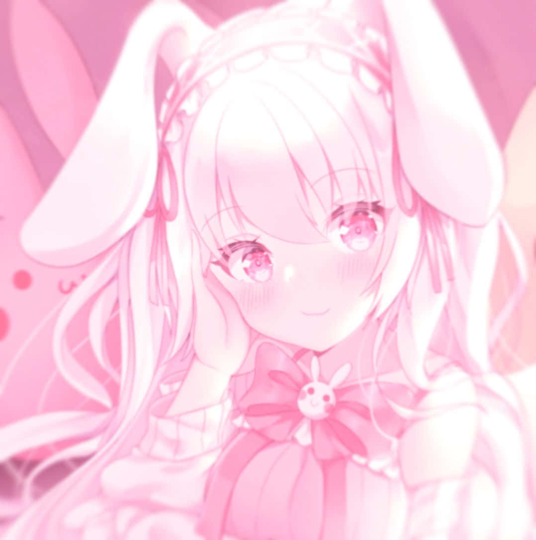 Diskord Anime Profilbilde Rosa Estetikk Bakgrunner