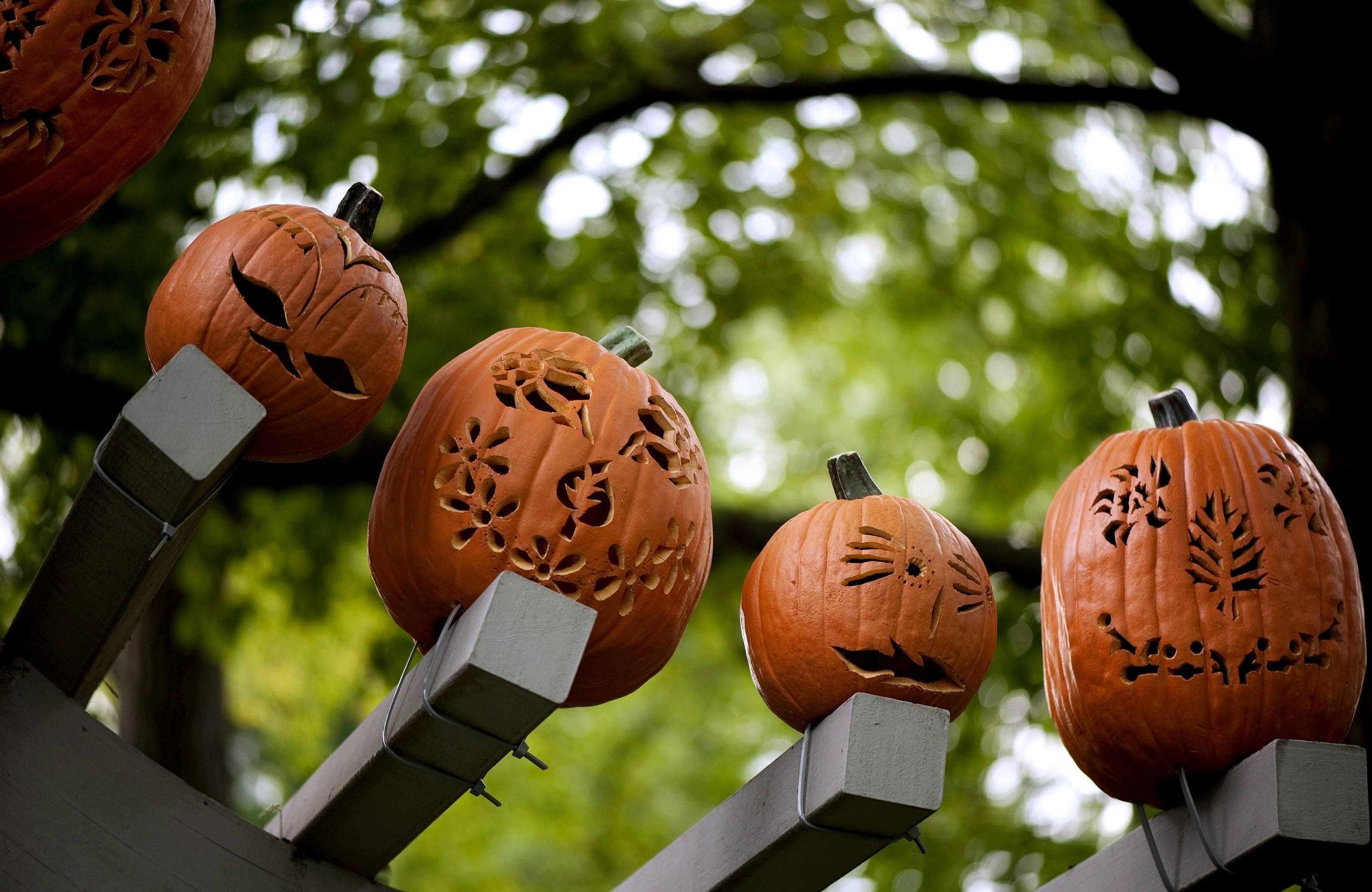 "Disse skumle gresskarene vil garantert skape en skremmende stemning til Halloween!" Bakgrunner