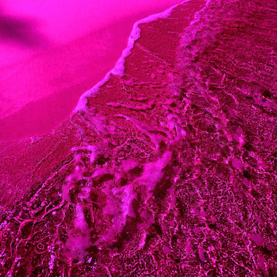 Dramatisk rosa strandlinje Bakgrunner