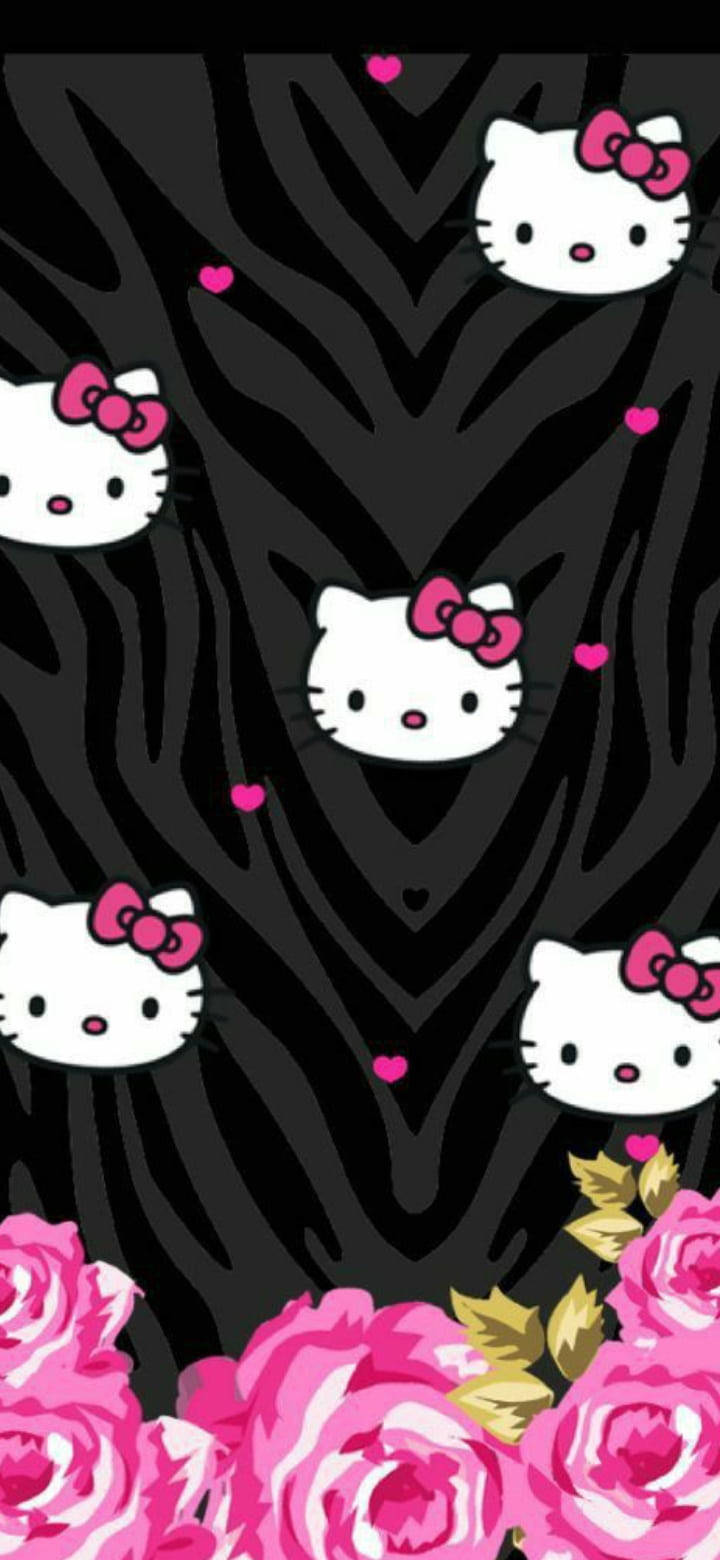 Dyremønster i svart Hello Kitty Bakgrunner