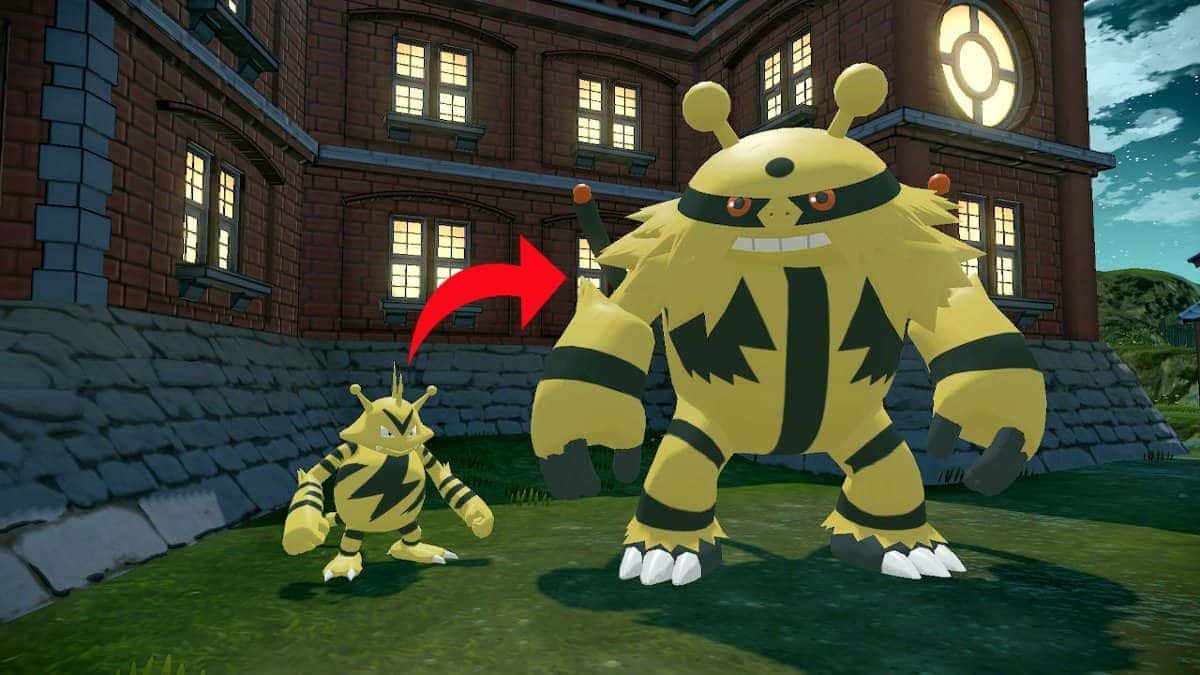 Electabuzz lader energi i en Pokémonslag Bakgrunner
