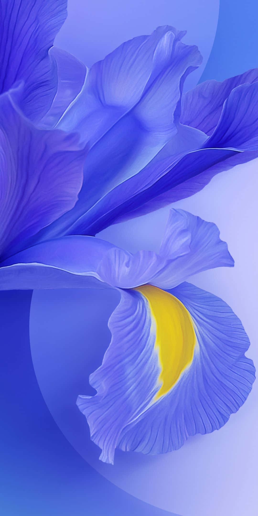 Elegant Xiaomi-smarttelefon med gradientbakgrunn Bakgrunner