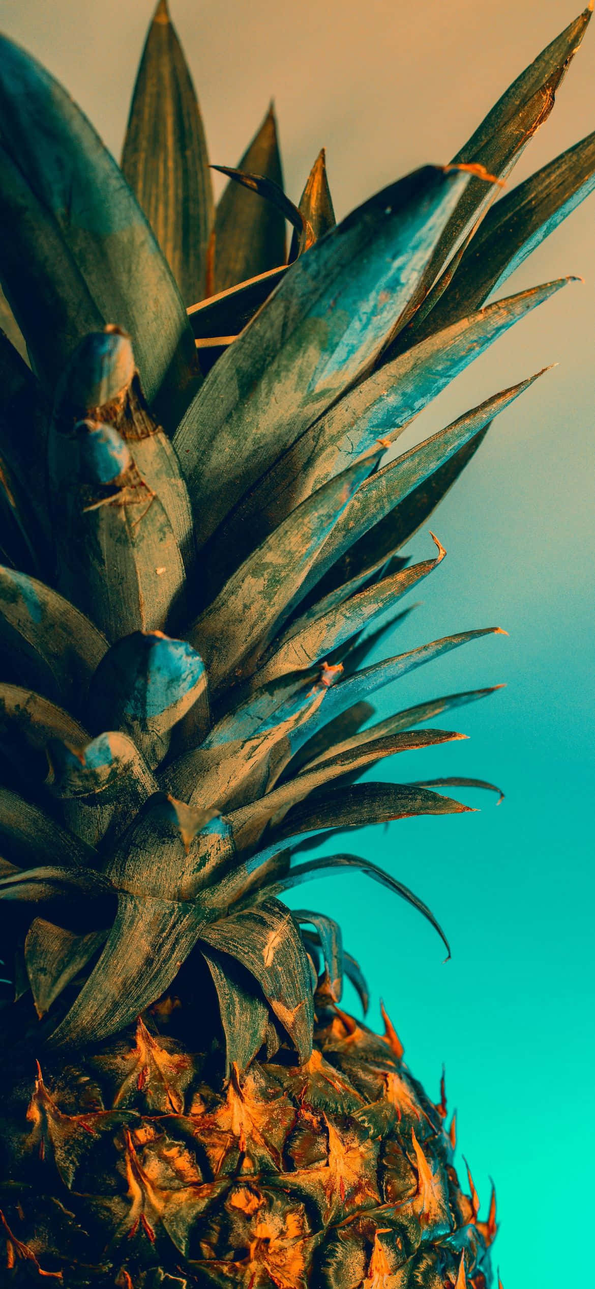 en ananas med blå himmelbakgrunn Bakgrunner