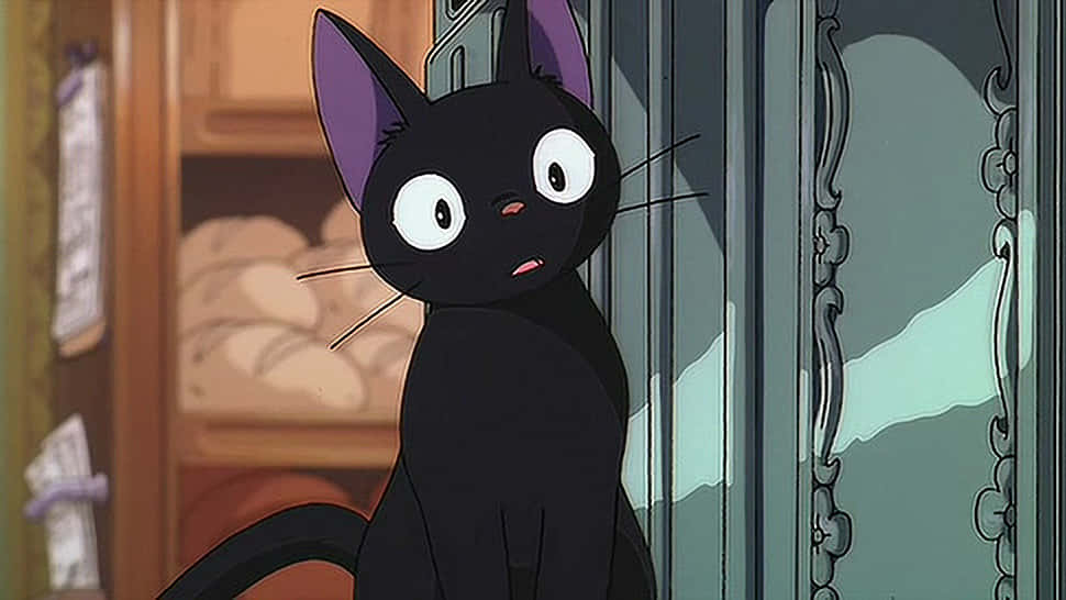 En animekatt med blå øyne nyter solnedgangen Bakgrunner