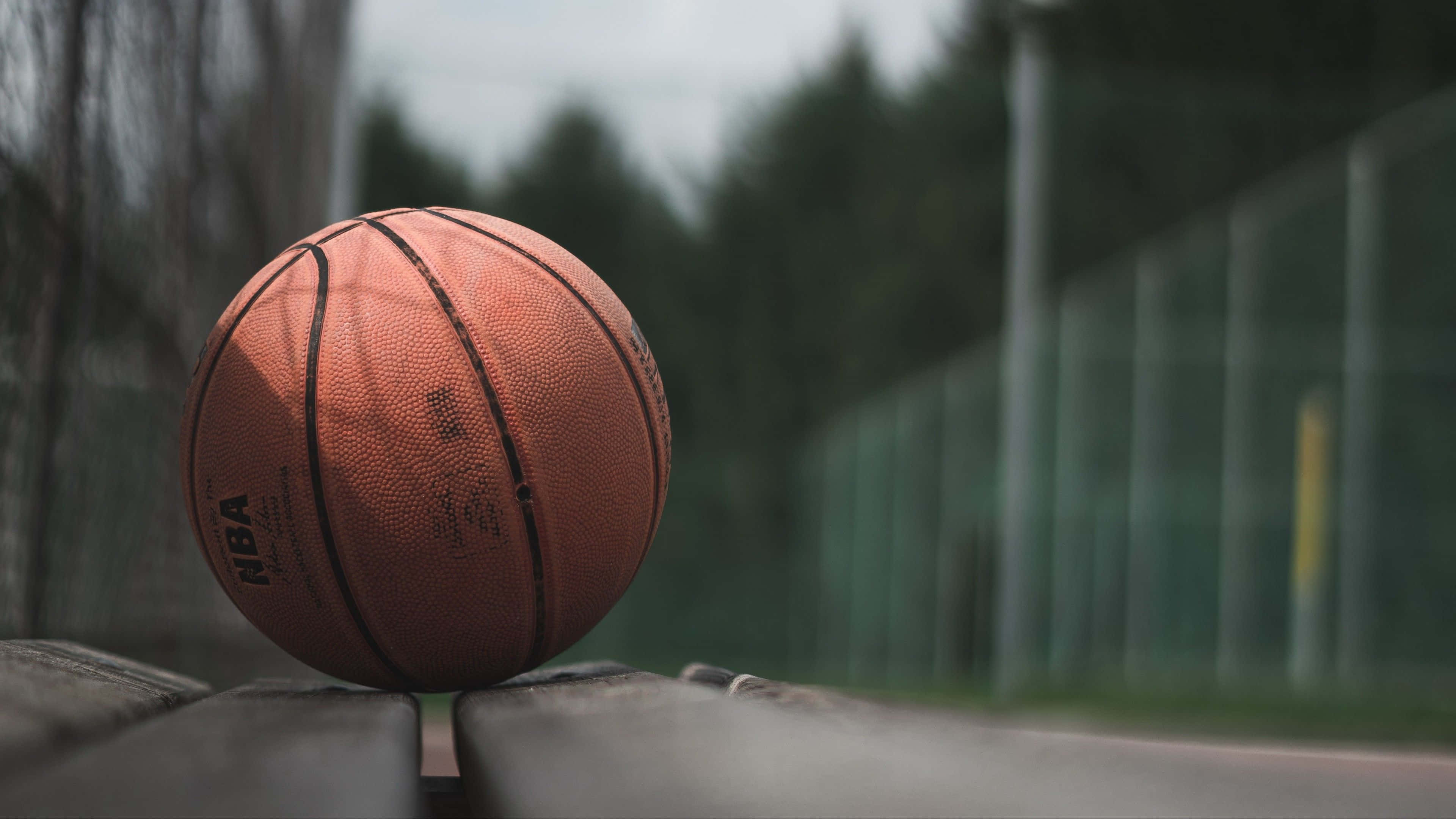 En basketball på en benk Bakgrunner