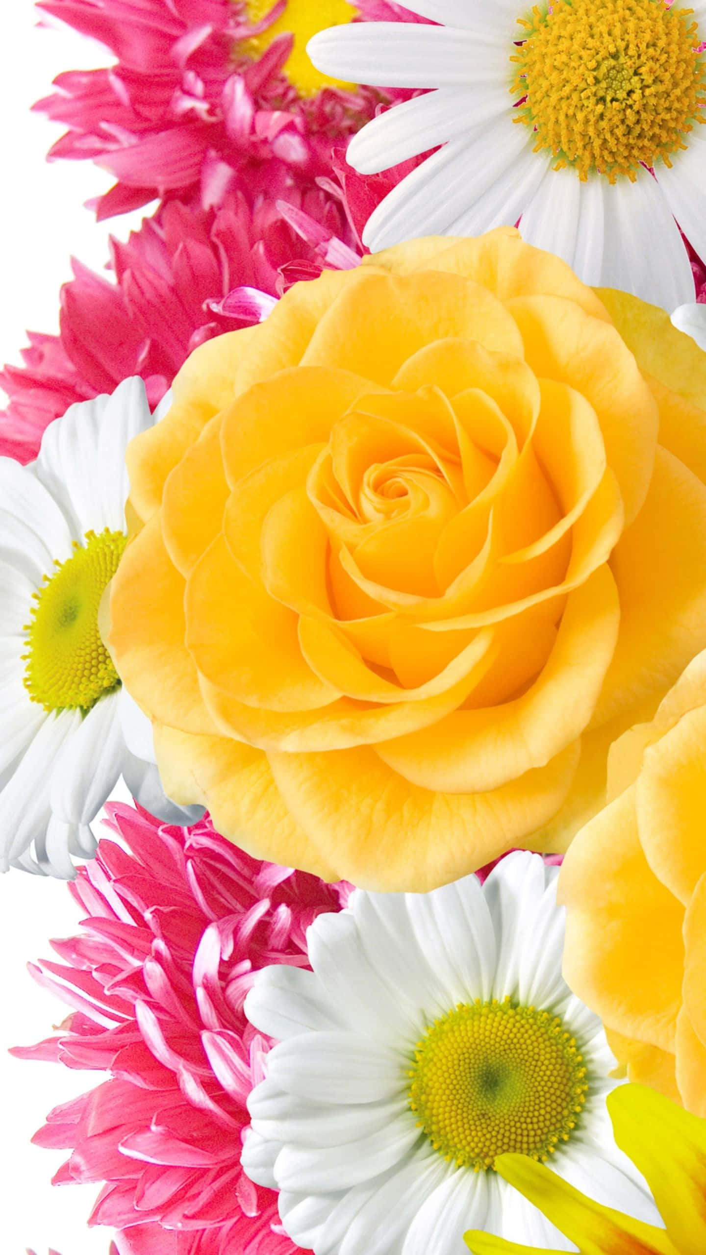 en bukett med blomster Bakgrunner
