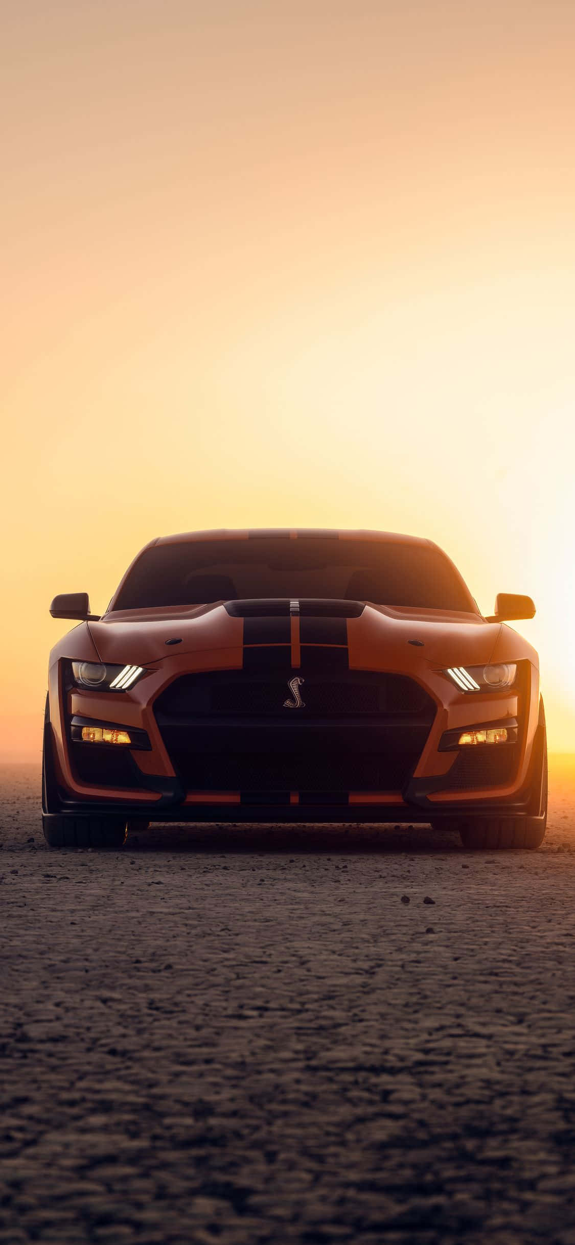 en ford mustang gt sitter i ørkenen ved solnedgang Bakgrunner