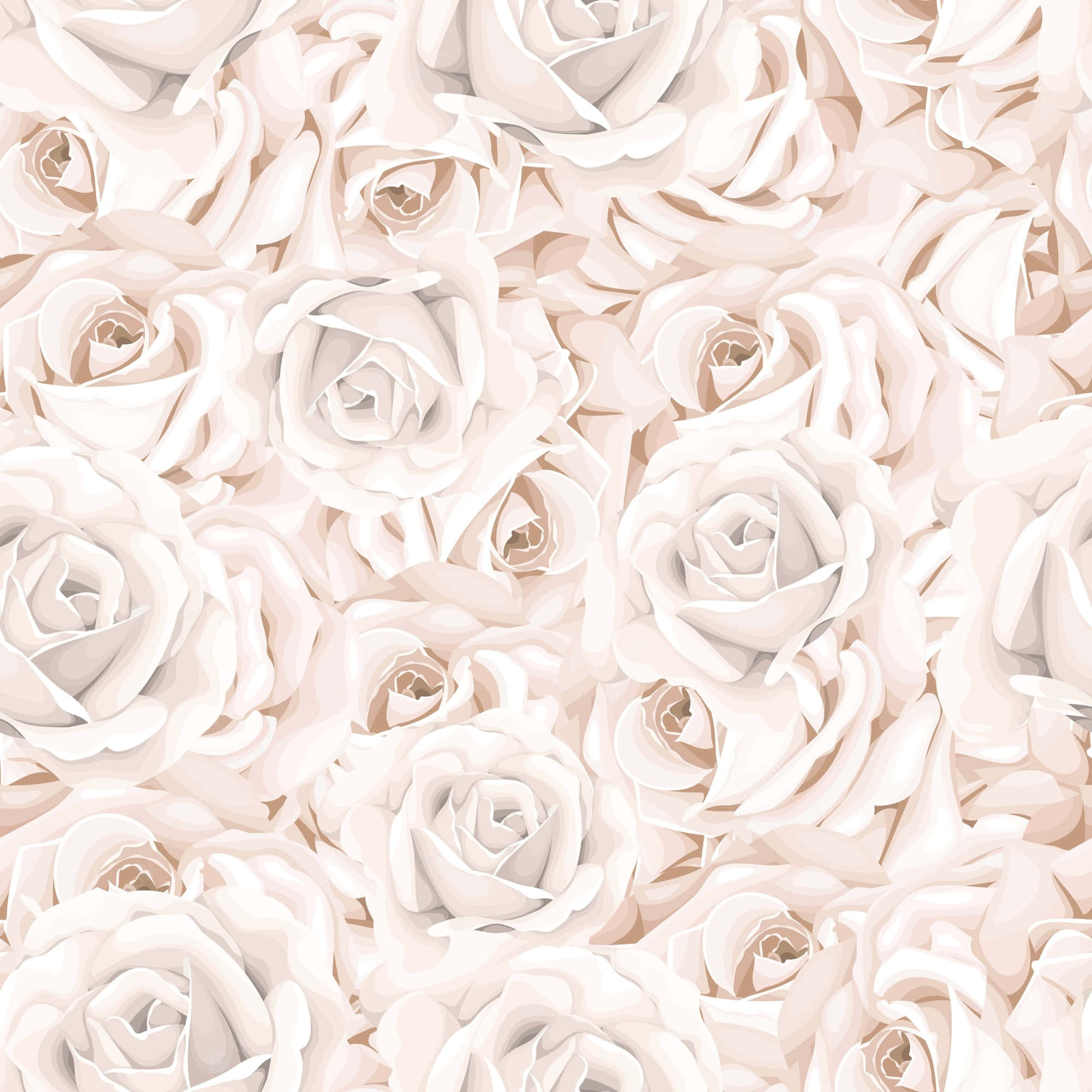 En fredfull hvit rose i full blomst Bakgrunner