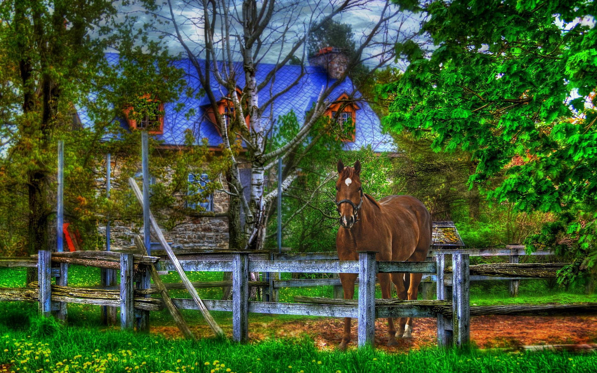 Hest og hus digital kunst bakgrunnsbilde