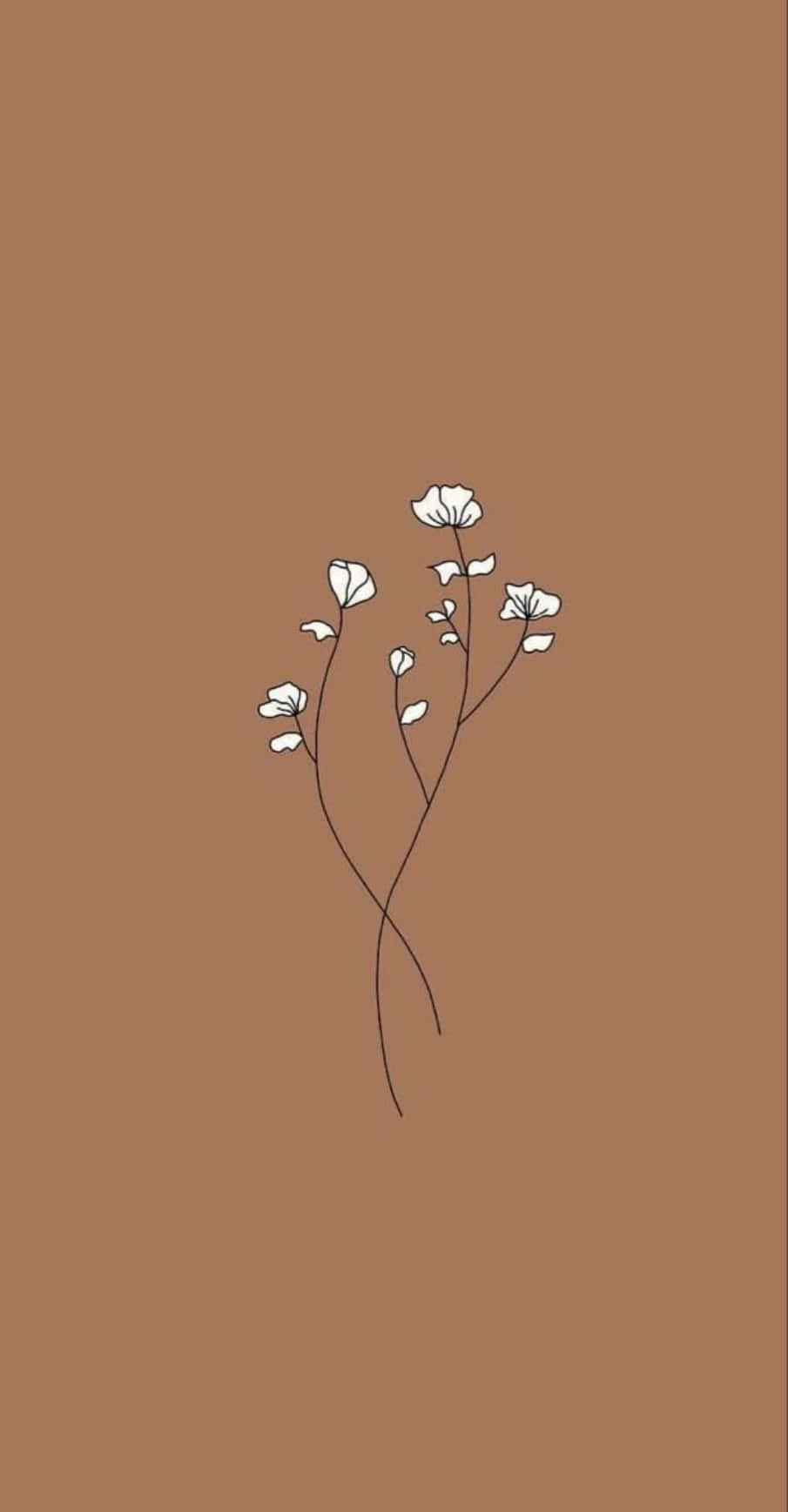 en hvit blomst på en brun bakgrunn Bakgrunner