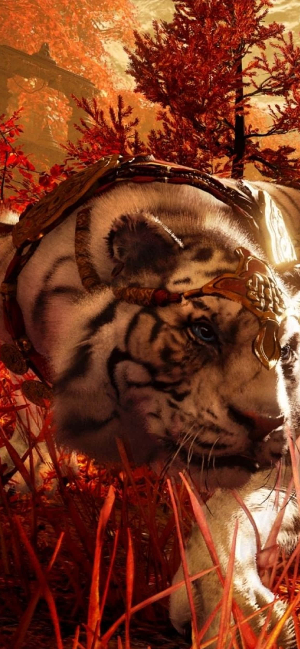 en hvit tiger ligger i gresset Bakgrunner