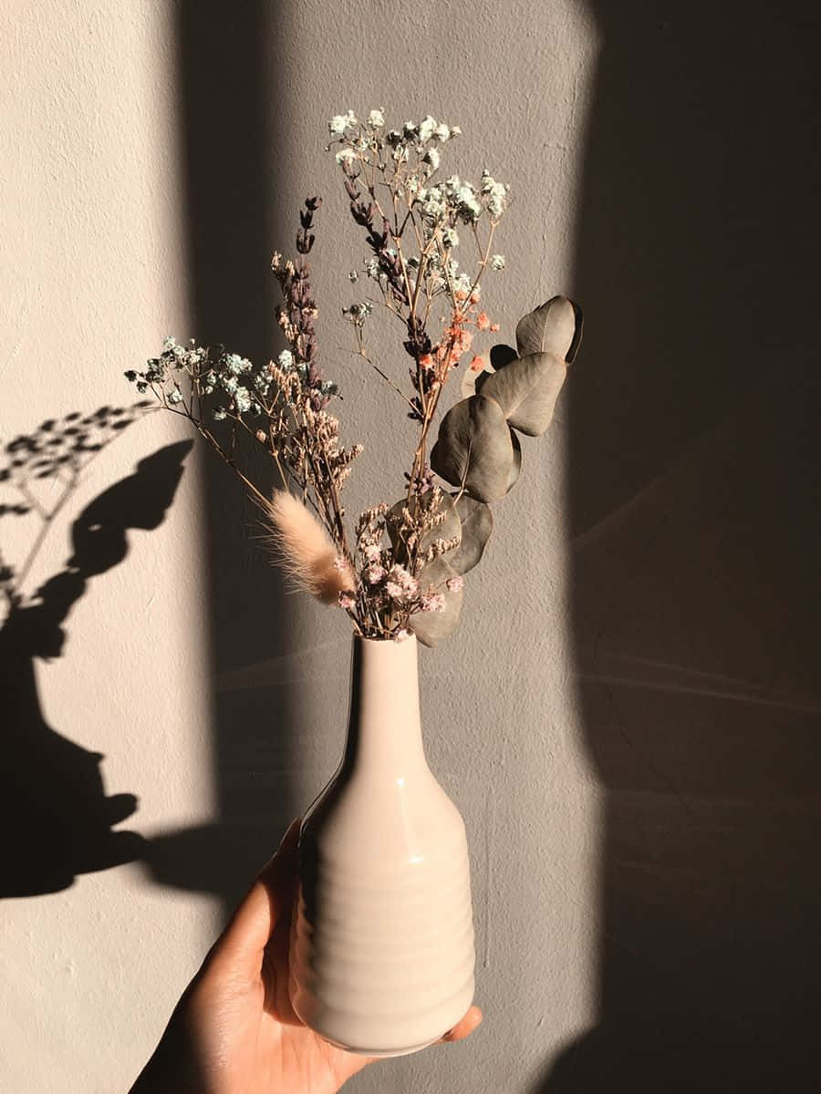 en hvit vase med noen få tørkede blomster i Bakgrunner