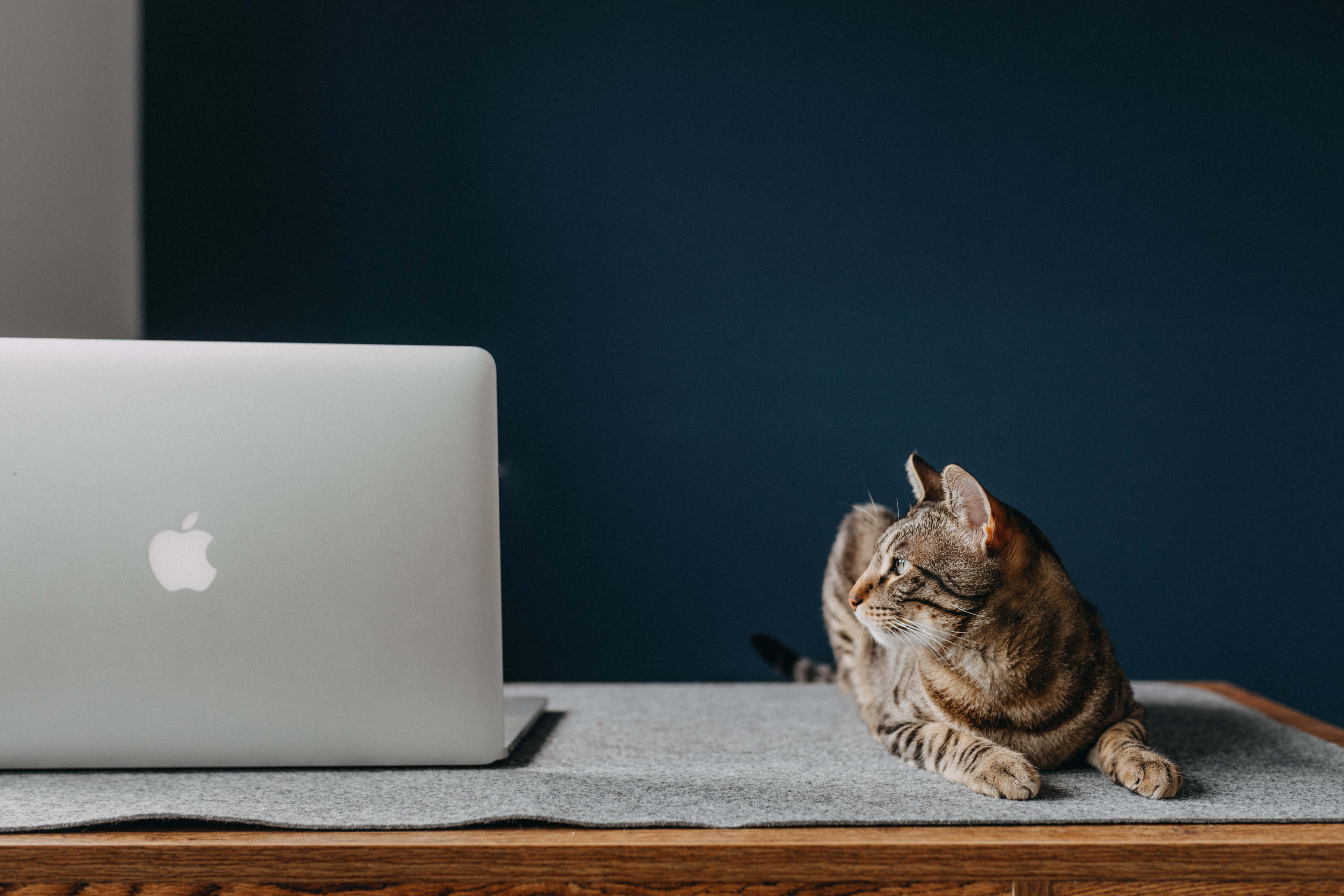 En klassisk Macbook-laptop med minimalistisk oppsett Bakgrunner