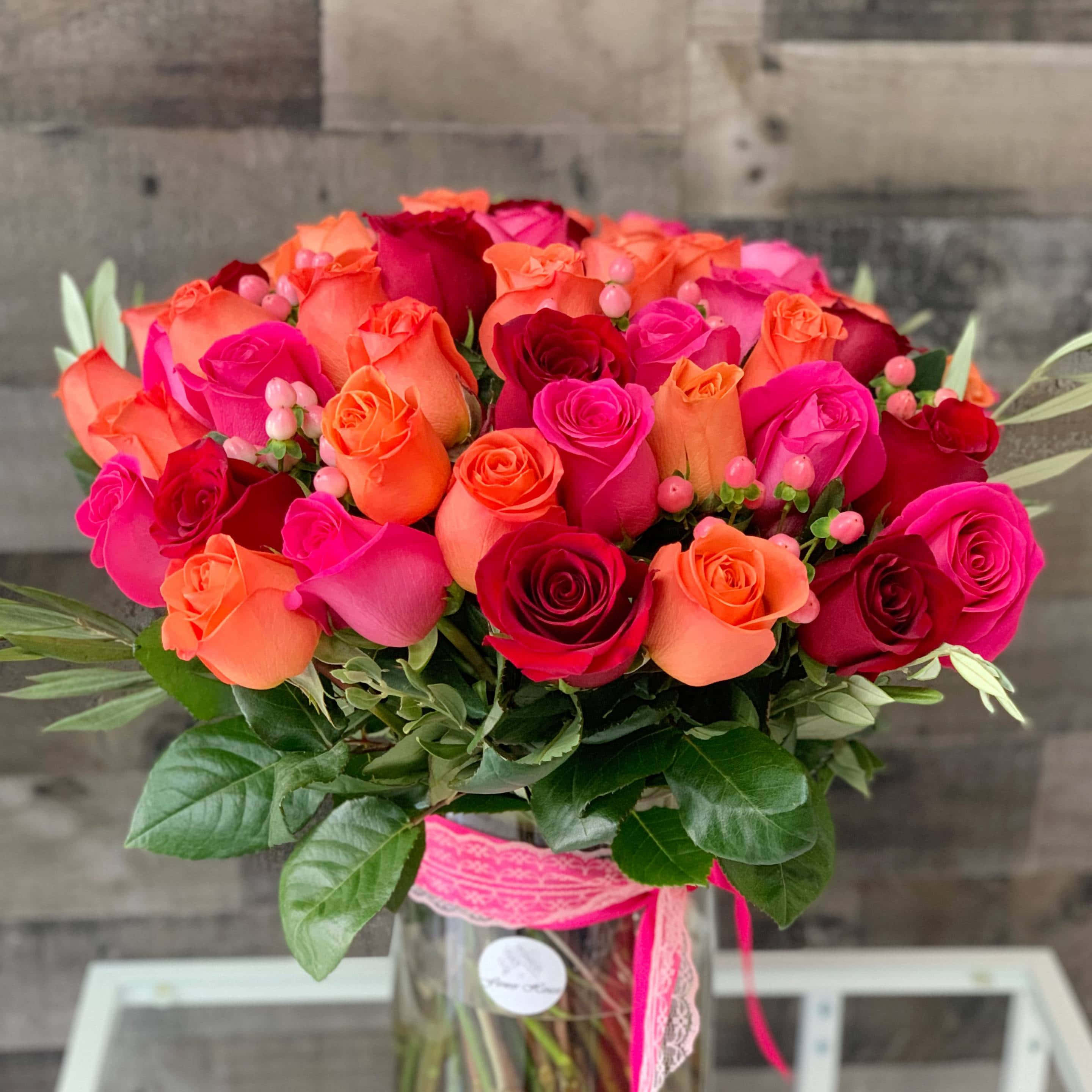 En klassisk rosa roseblomst som blomstrer i naturen. Bakgrunner