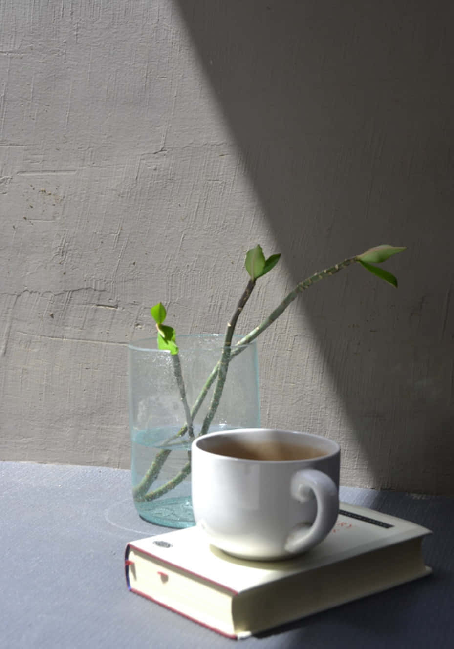 en kopp kaffe og en bok på et bord Bakgrunner