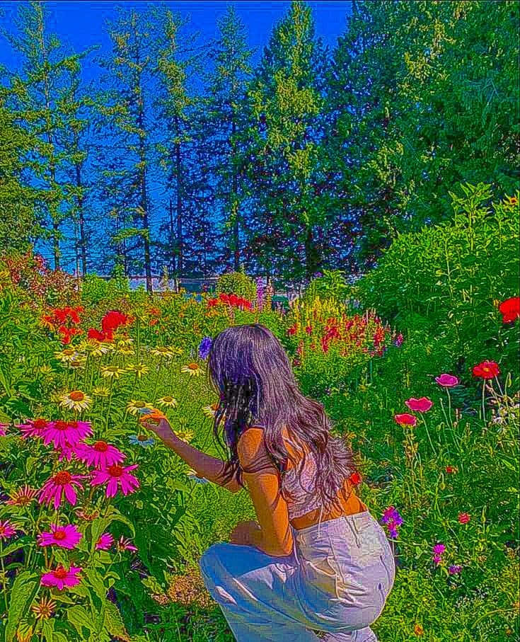 en kvinne som kneler i en blomsterhage Bakgrunner
