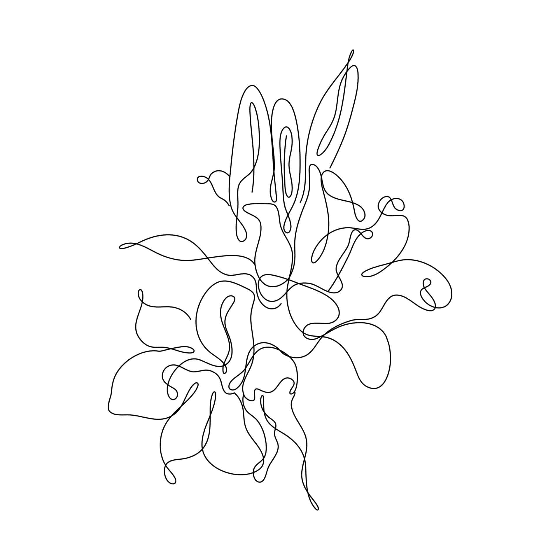 en linjetegning av en blomst Bakgrunner
