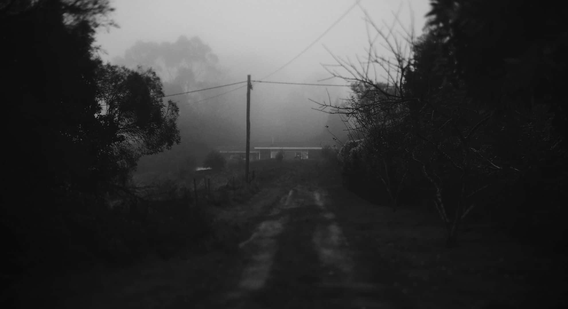 En moderne, minimalistisk bakgrunn med en dempet grå estetikk Bakgrunner