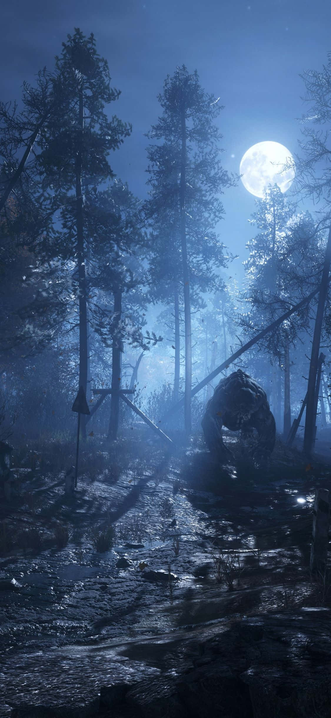 en mørk skog med fullmåne Bakgrunner