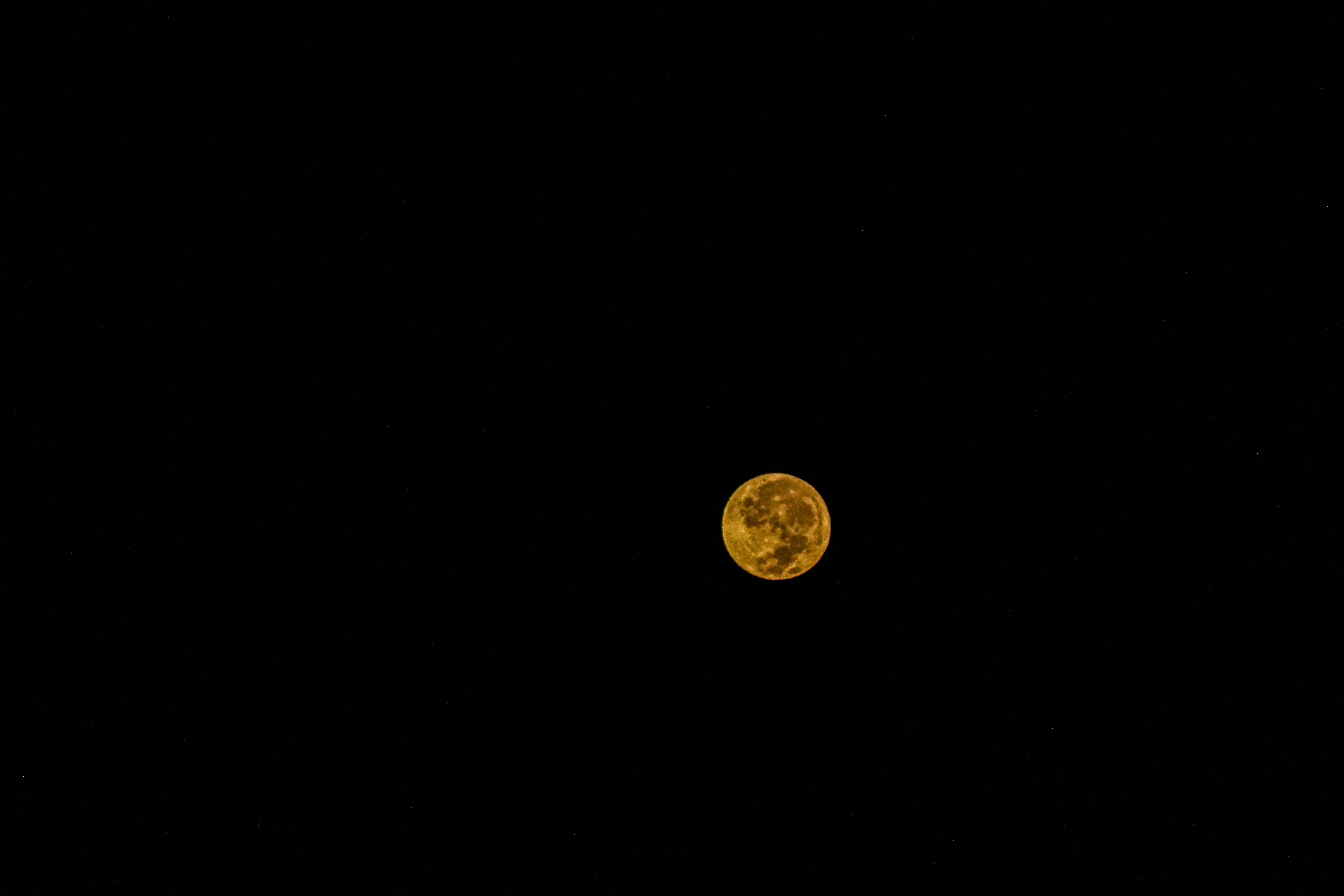 En monokrom nattehimmel fylt med en skinnende gul måne Bakgrunner