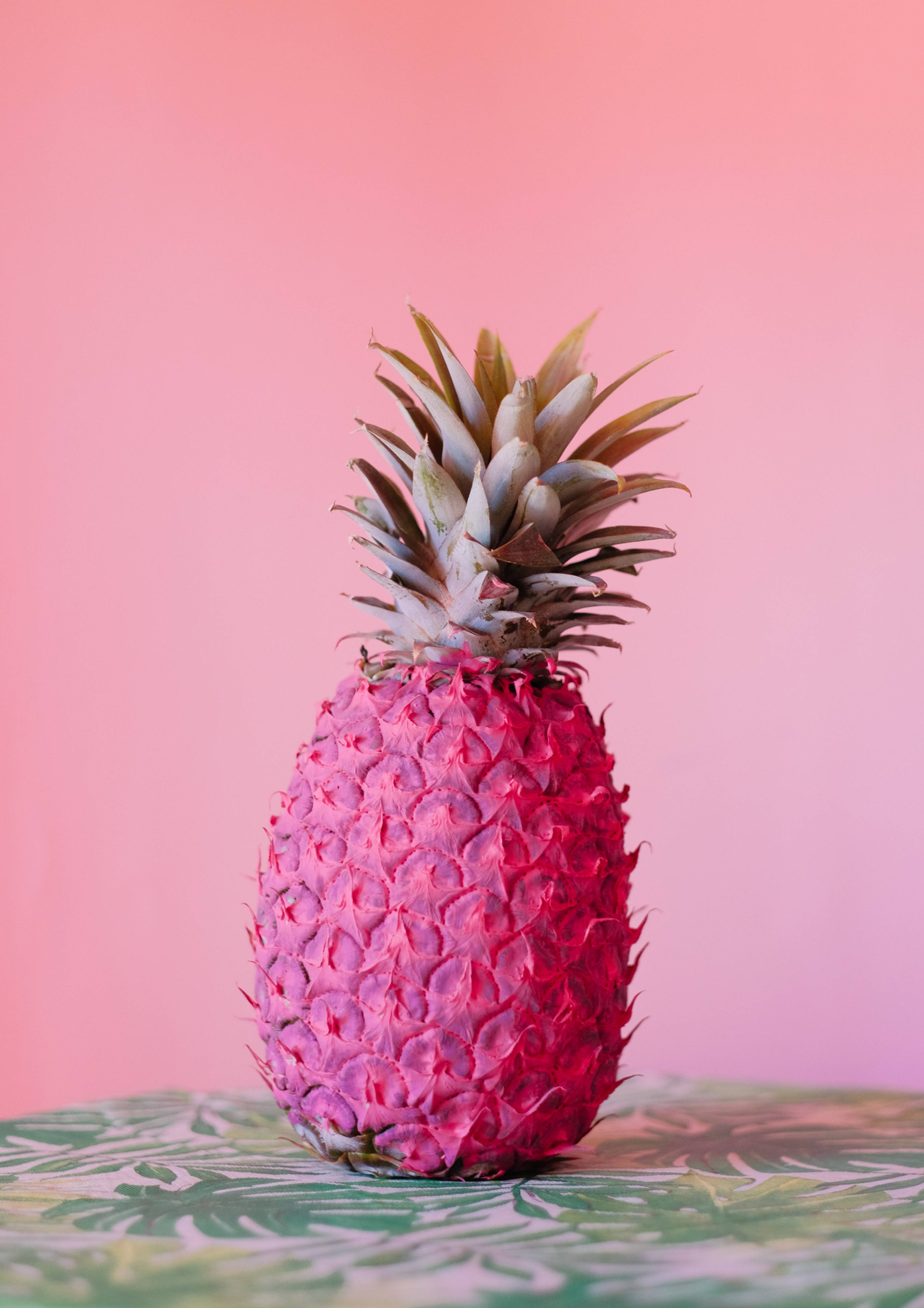 En nydelig, lys rosa ananas Bakgrunner
