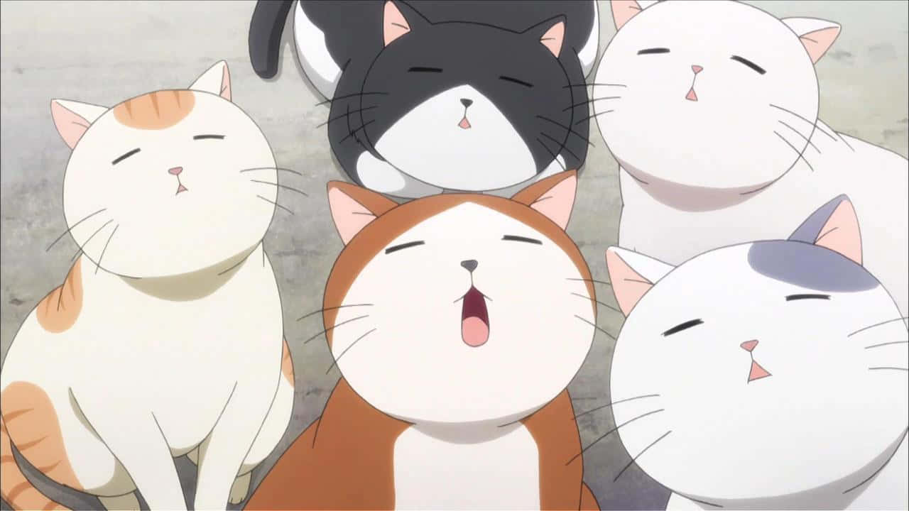En nysgjerrig animekatt som utforsker verden Bakgrunner