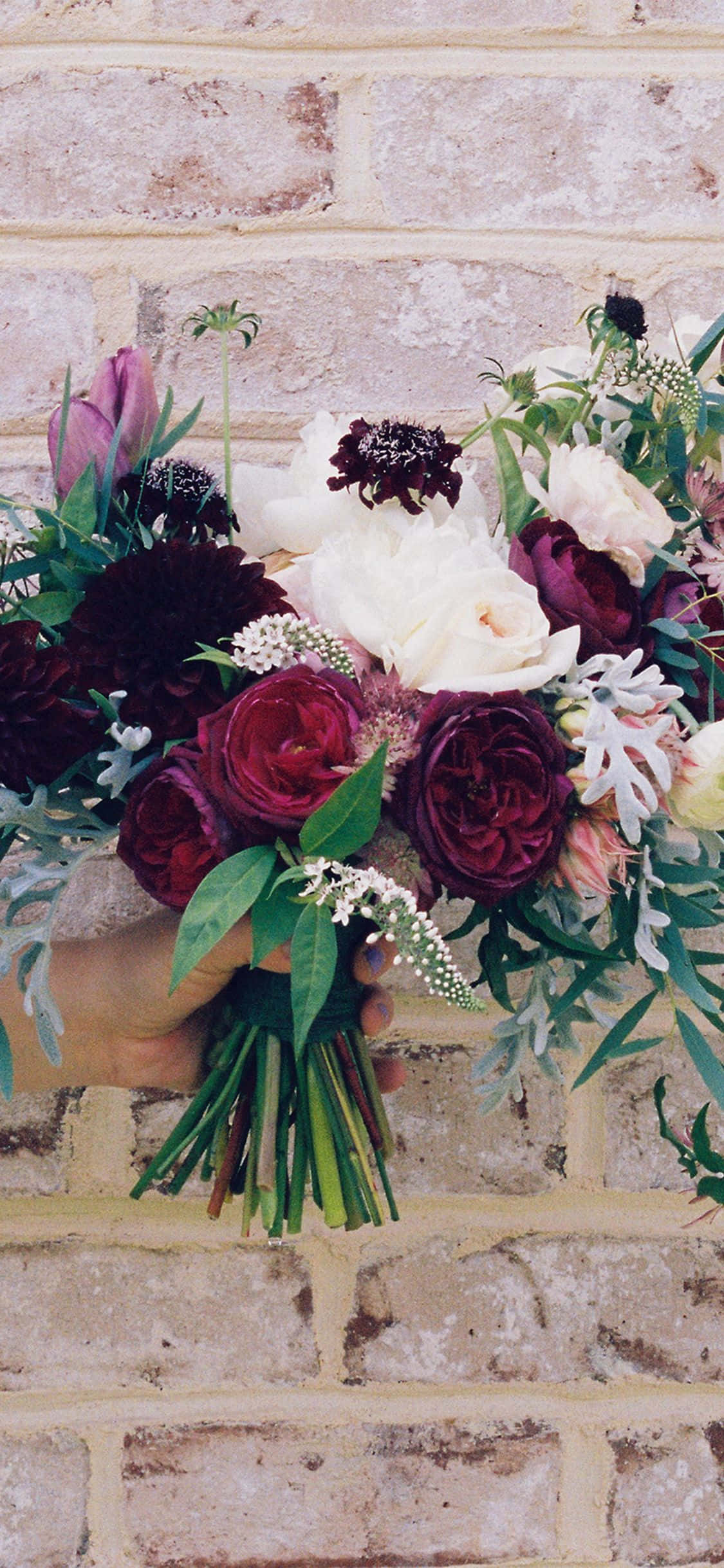 en person som holder en bukett med blomster Bakgrunner
