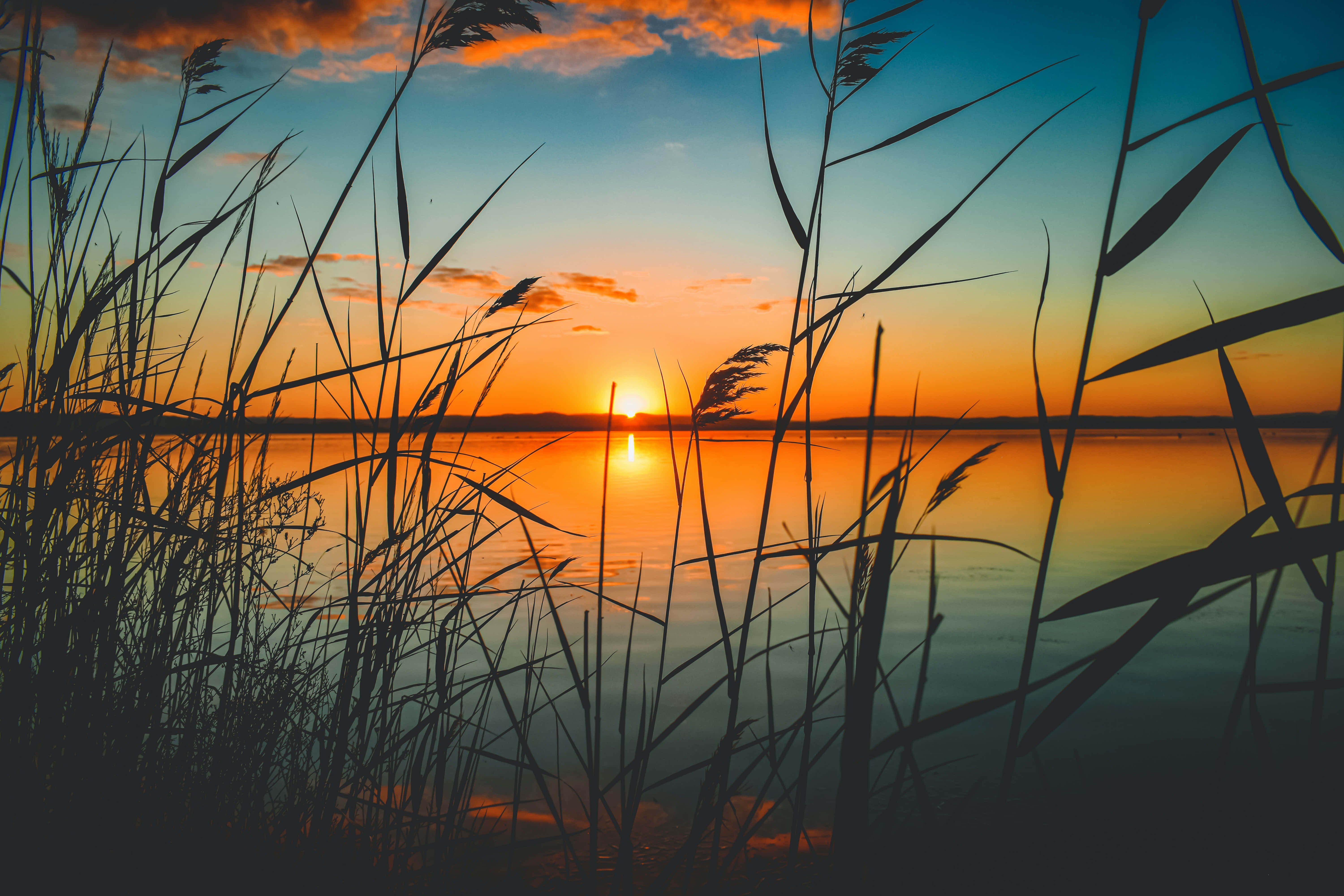En rolig solnedgang over en stille innsjø Bakgrunner