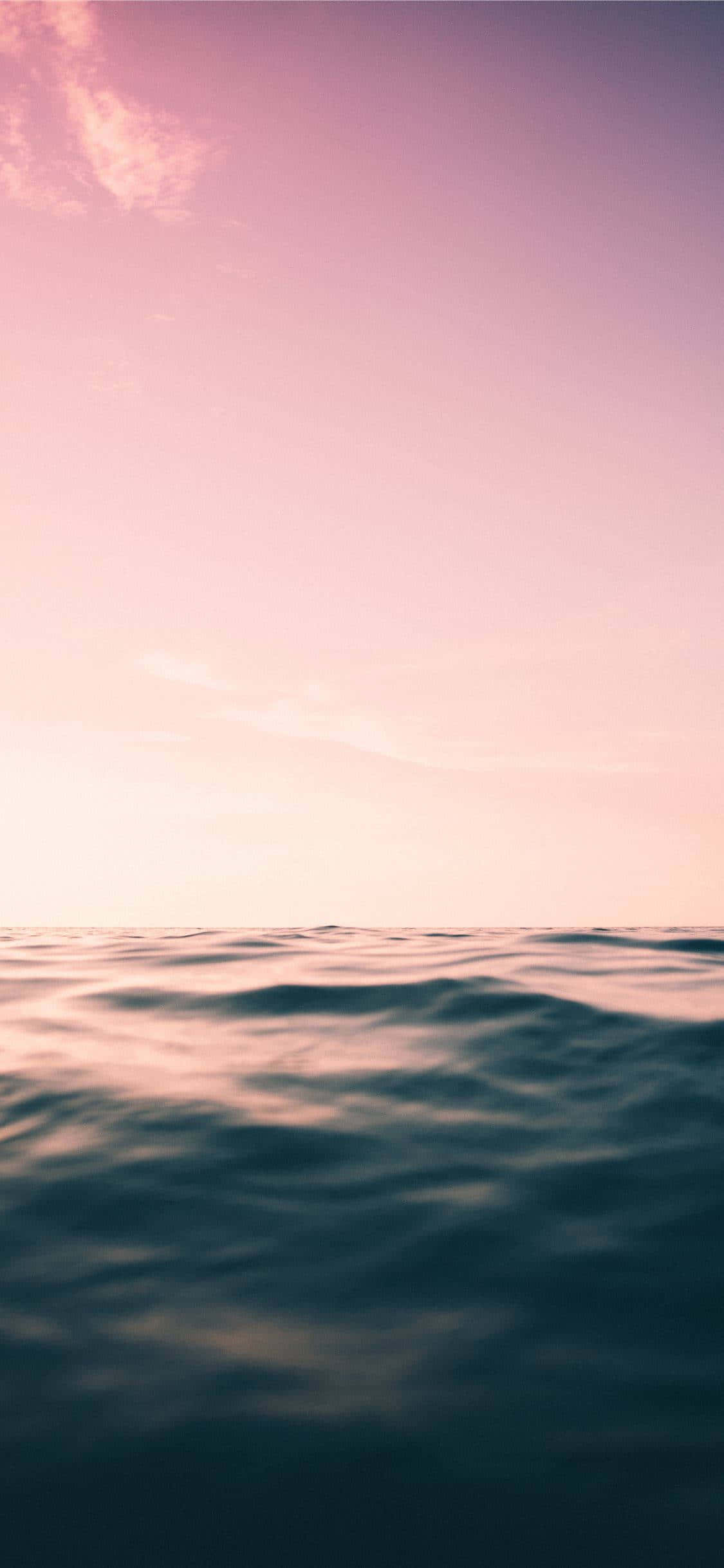 en rosa himmel over havet Bakgrunner