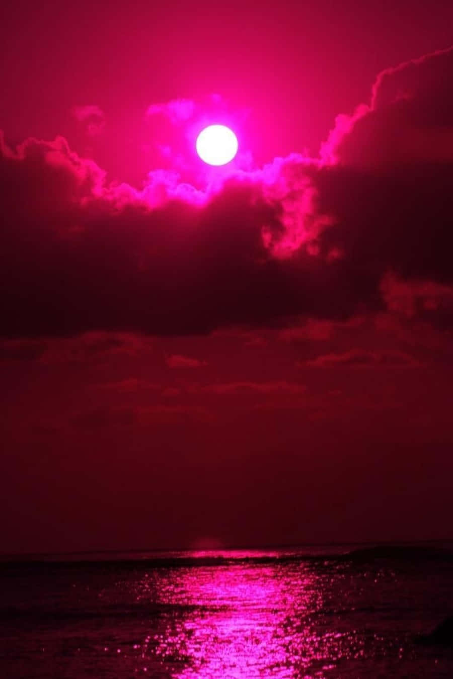 en rosa sol over havet Bakgrunner