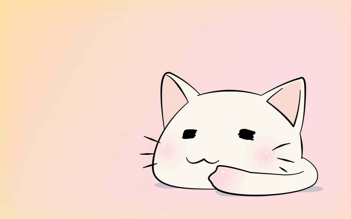 en søt animekatt i dyrebutikken Bakgrunner