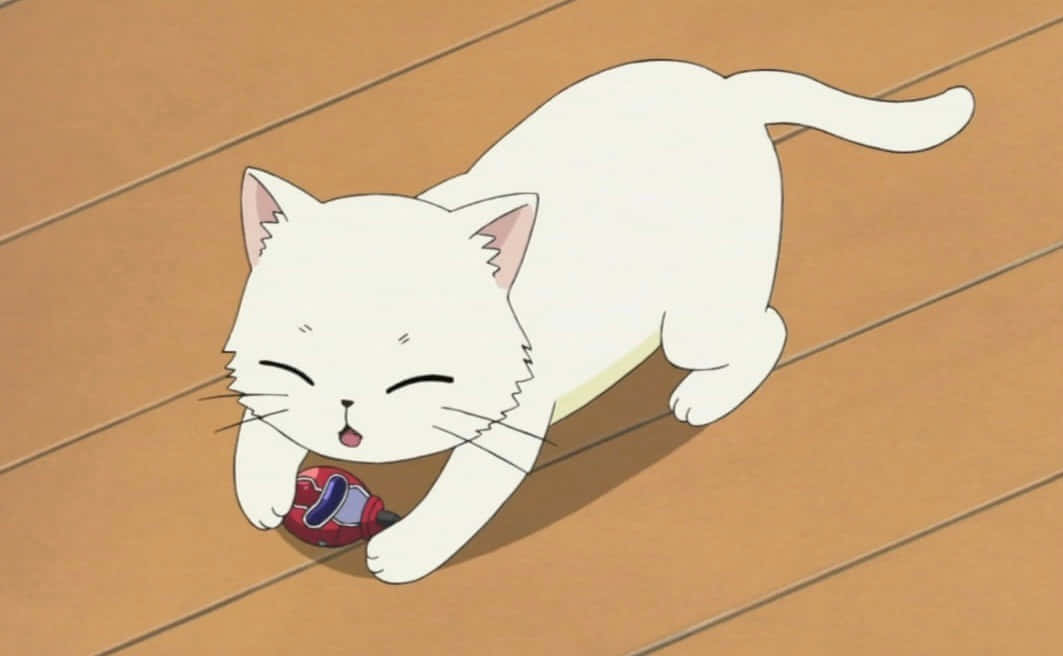 En søt animekatt drar på eventyr Bakgrunner