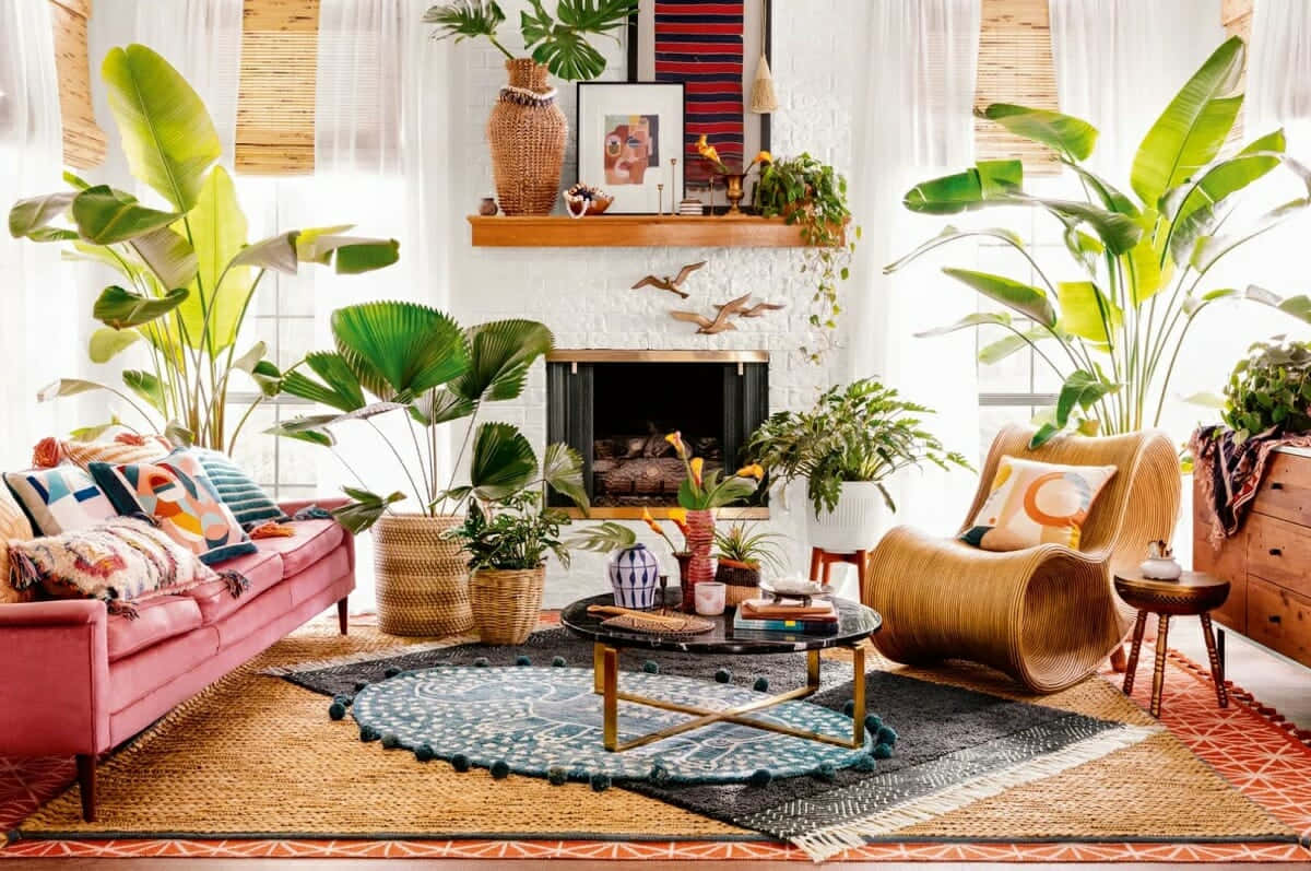 en stue med mange planter og møbler Bakgrunner
