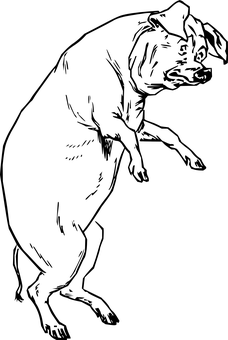 en svart bakgrunn med en svart firkant Bakgrunner