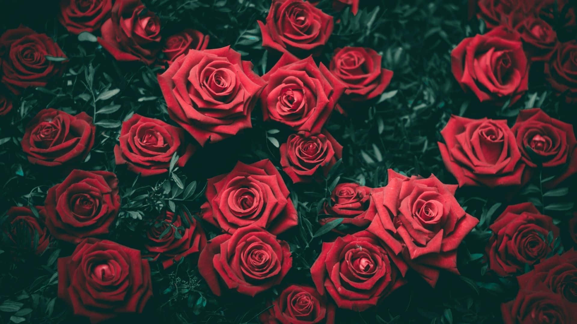 En vakker blomst i smaragdgrønt Bakgrunner