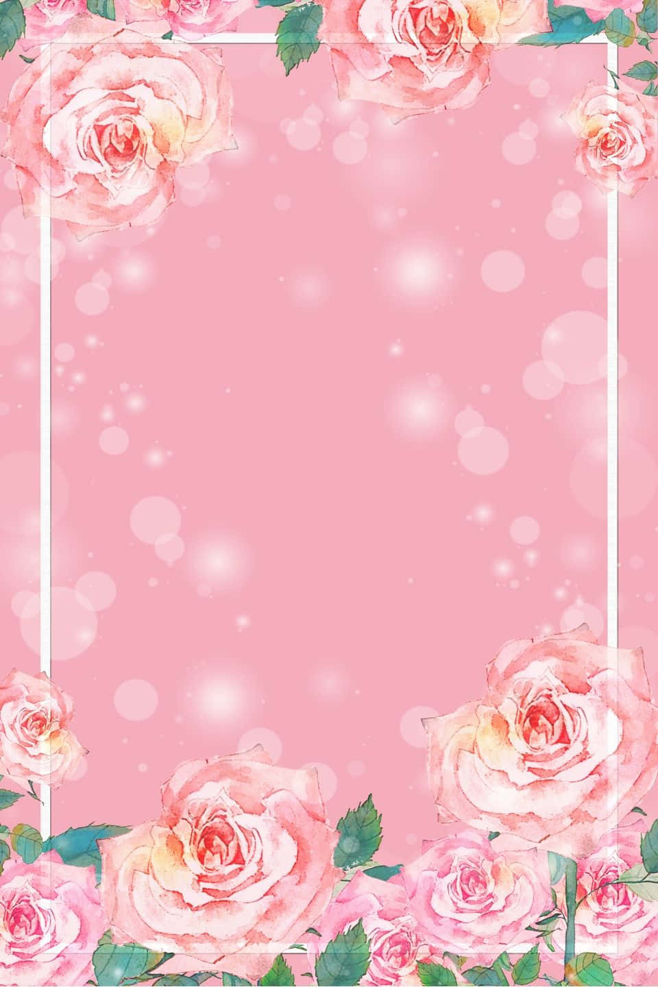 En vakker rosa blomst mot en blå himmel Bakgrunner