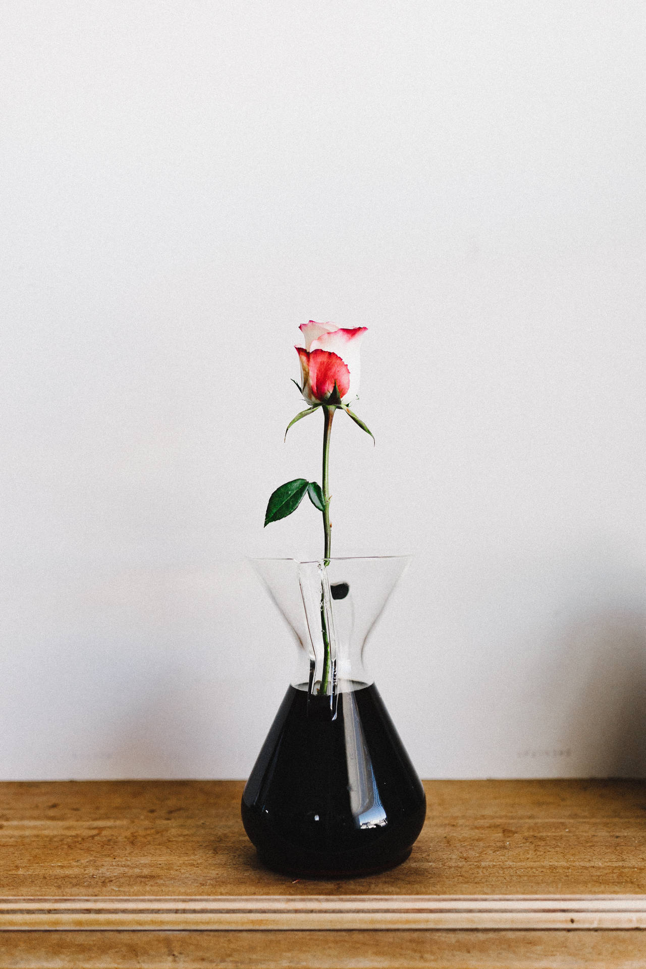 Forhåndsvisning bakgrunn rose, blomst, vase